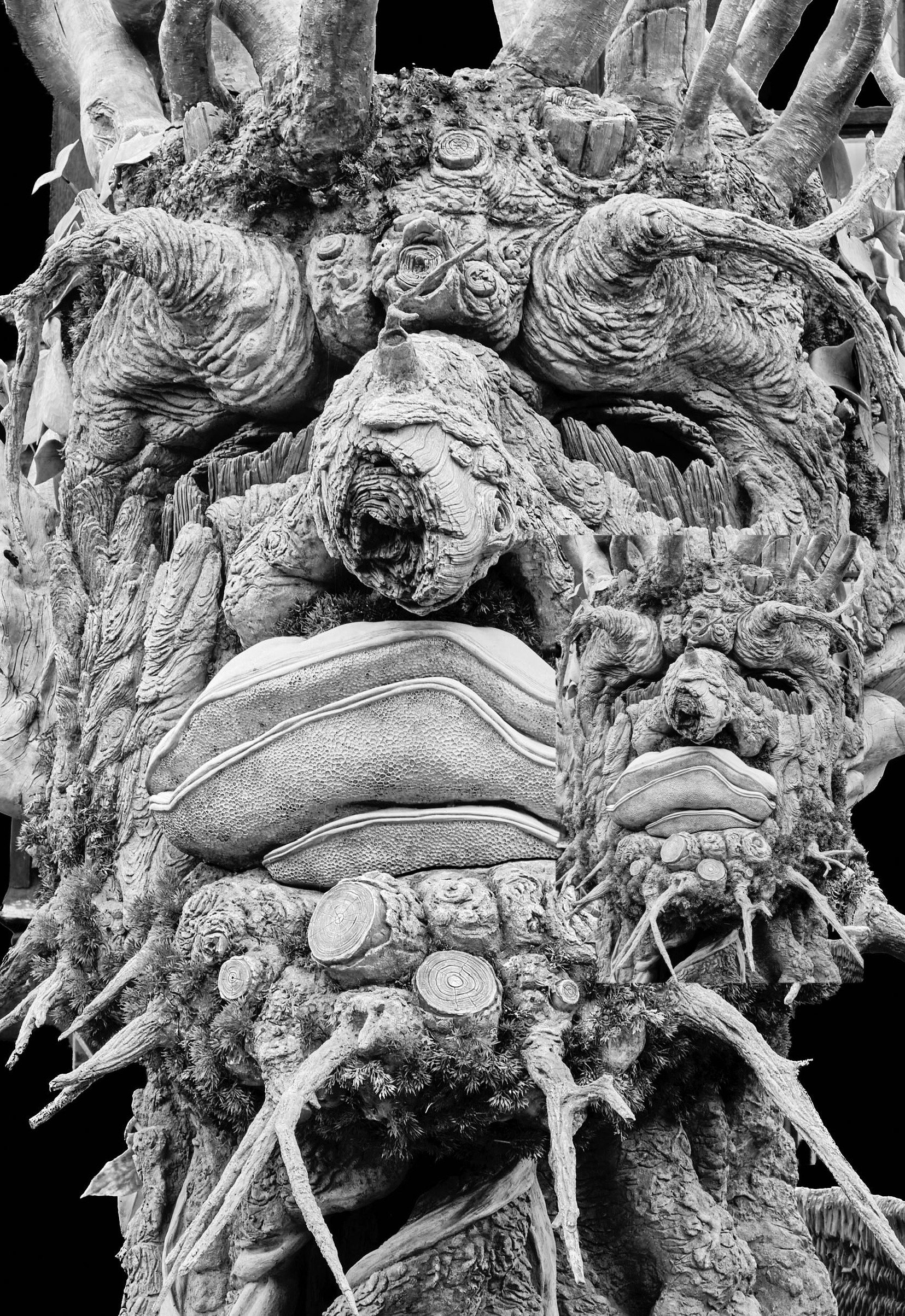 Garden Monster RHS Wisley, England