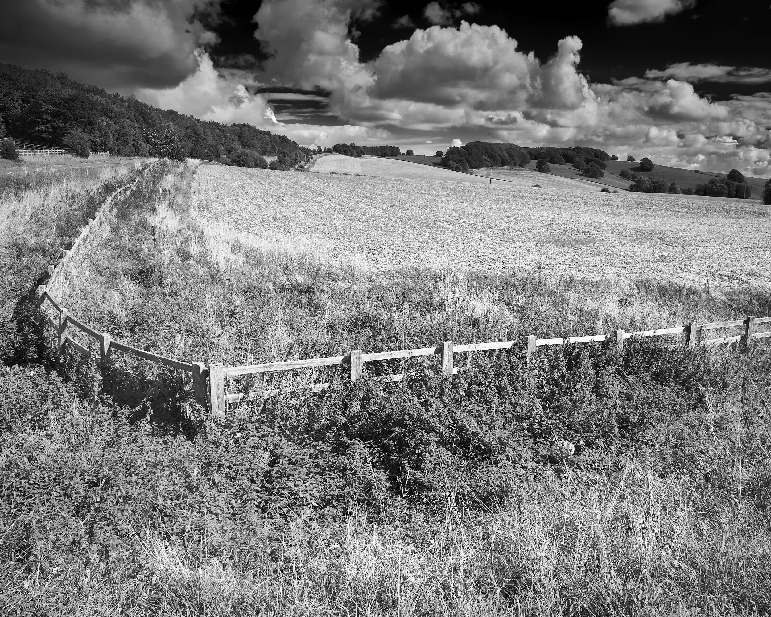 Field, Baydon, Wiltshire