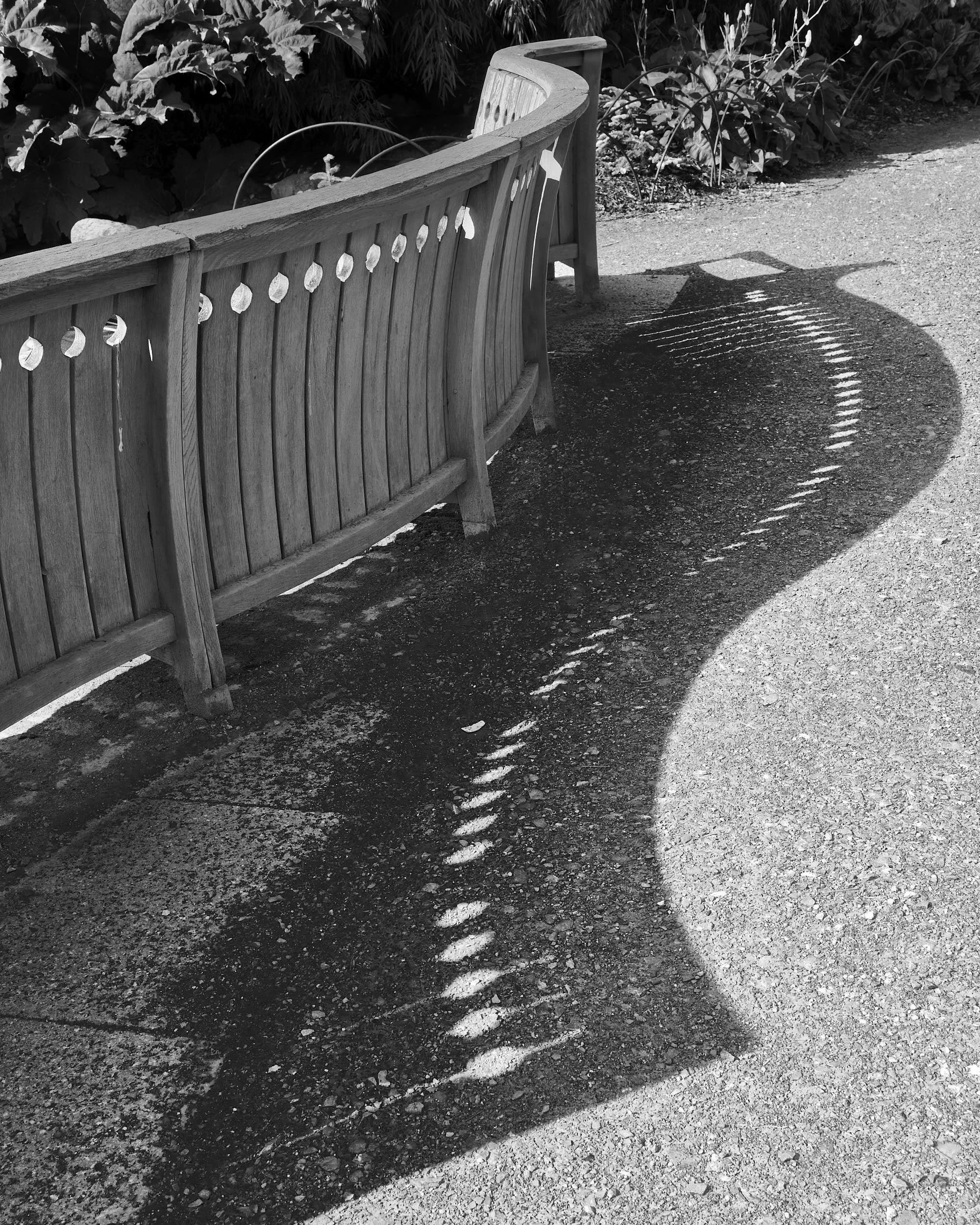 Bench, RHS Gardens, Wisley, Surrey, England
