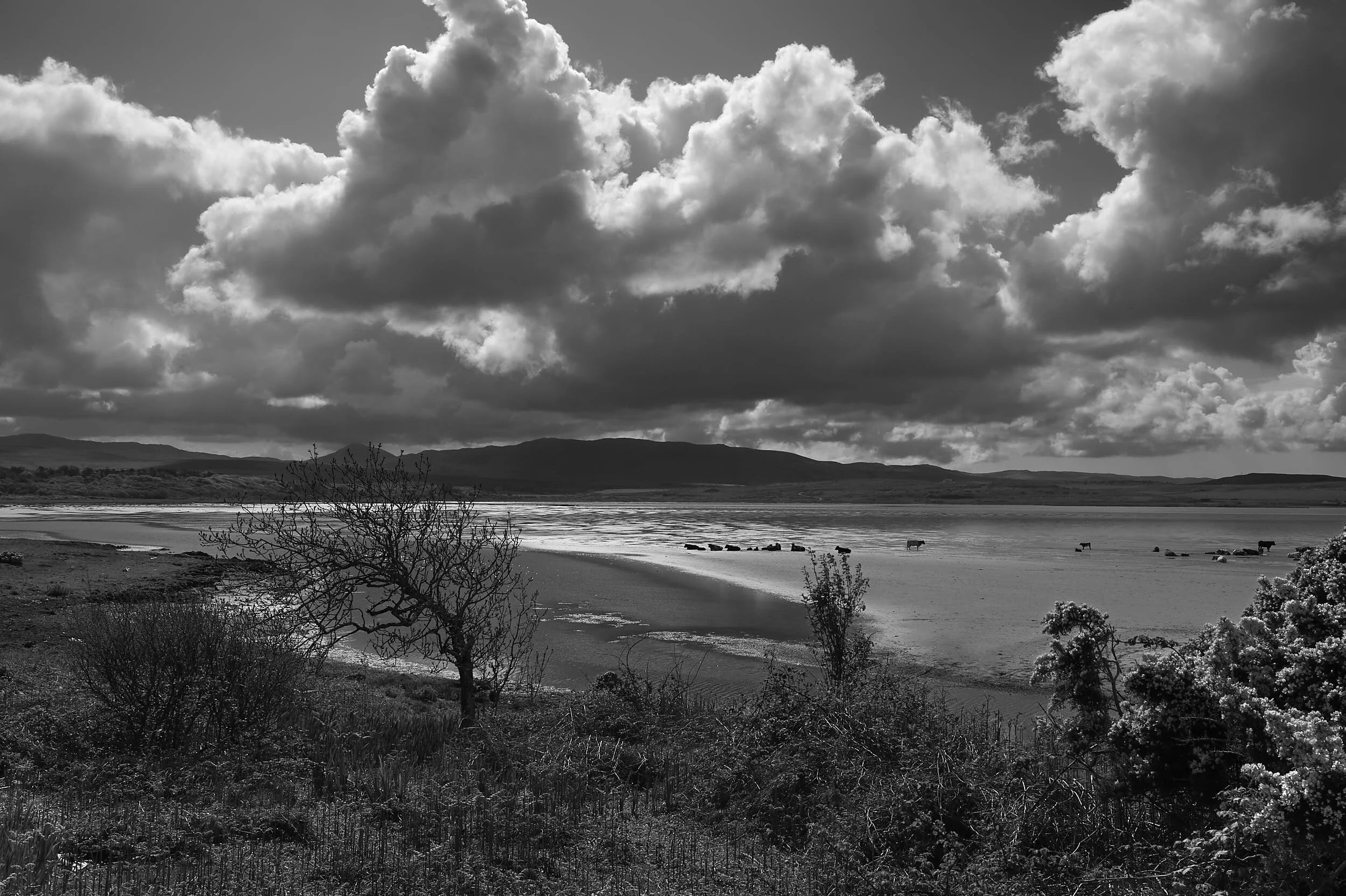 Beach, Islay Scotland