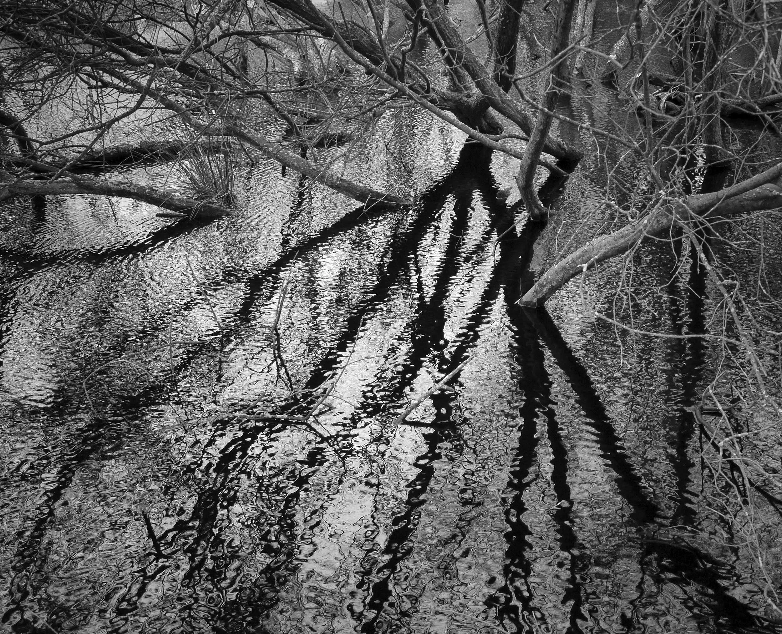 Reflections, Sandbanks, England