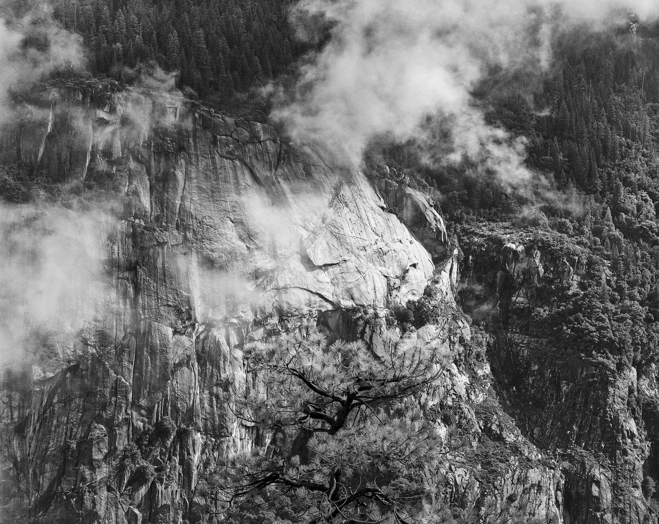 Yosemite National Park, California, USA