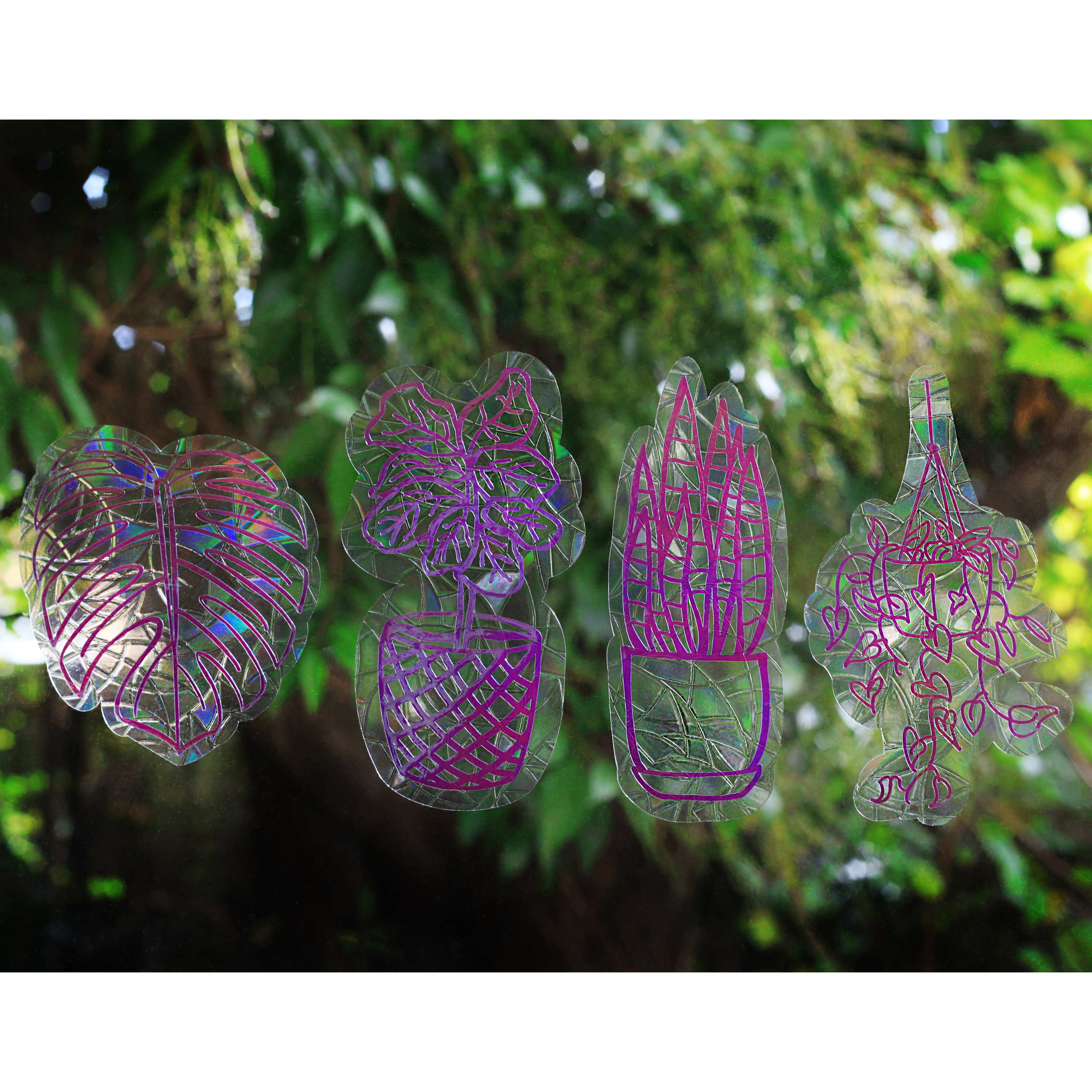 Plant Suncatchers Set.png