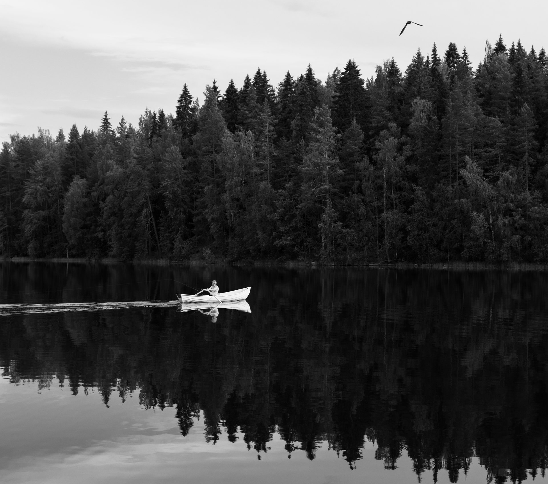 Kalastaja ja lintu 2021
Teos myyty