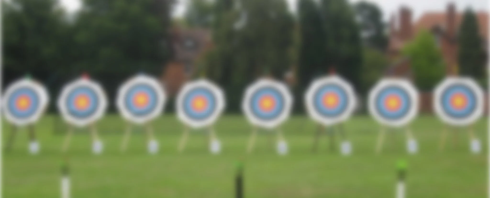 Internal startups and muddled objectives