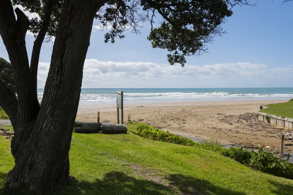 Holiday homes and rental properties Absolute Gisborne