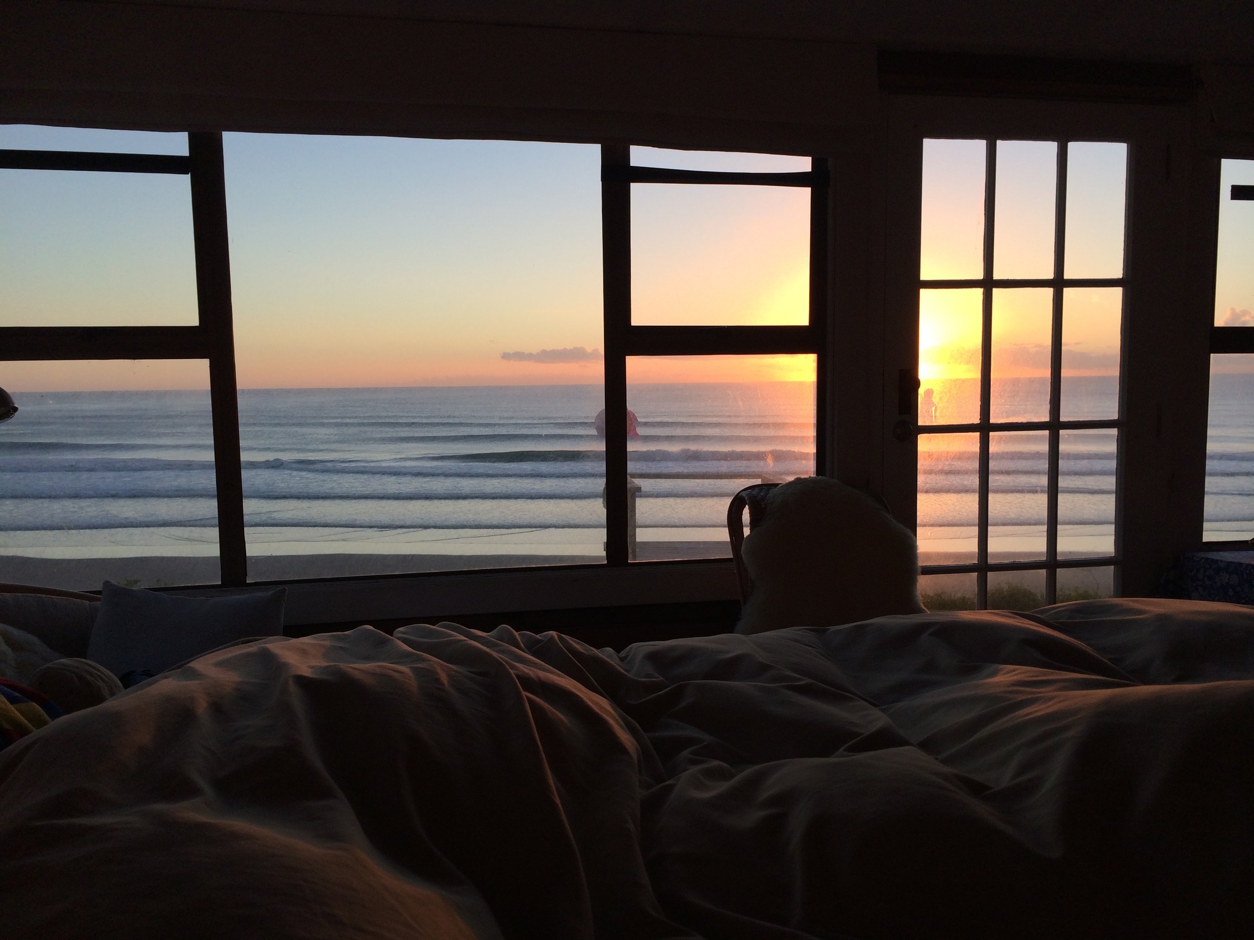 IMG_4962.jpeg