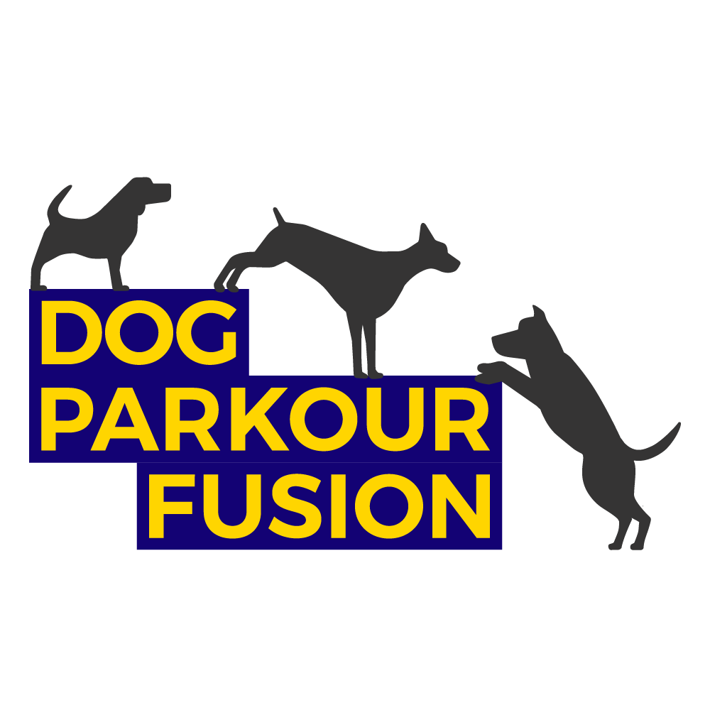 Dog Parkour Fusion &mdash; Quirky Urban Agility