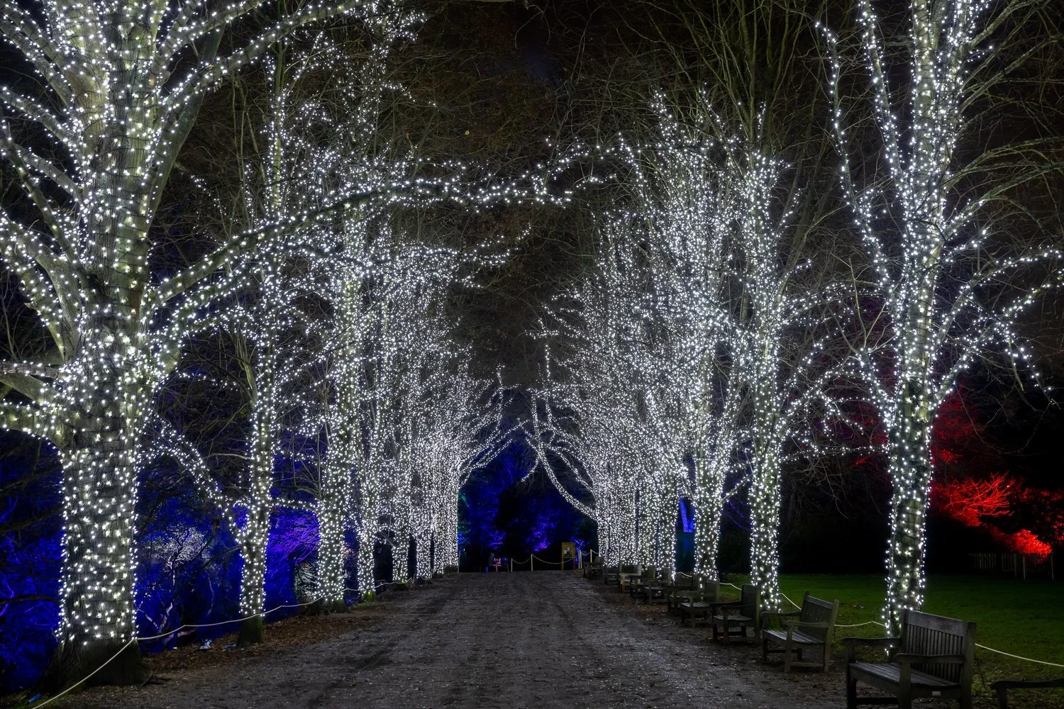 ChristmasatKenwood-5.jpg