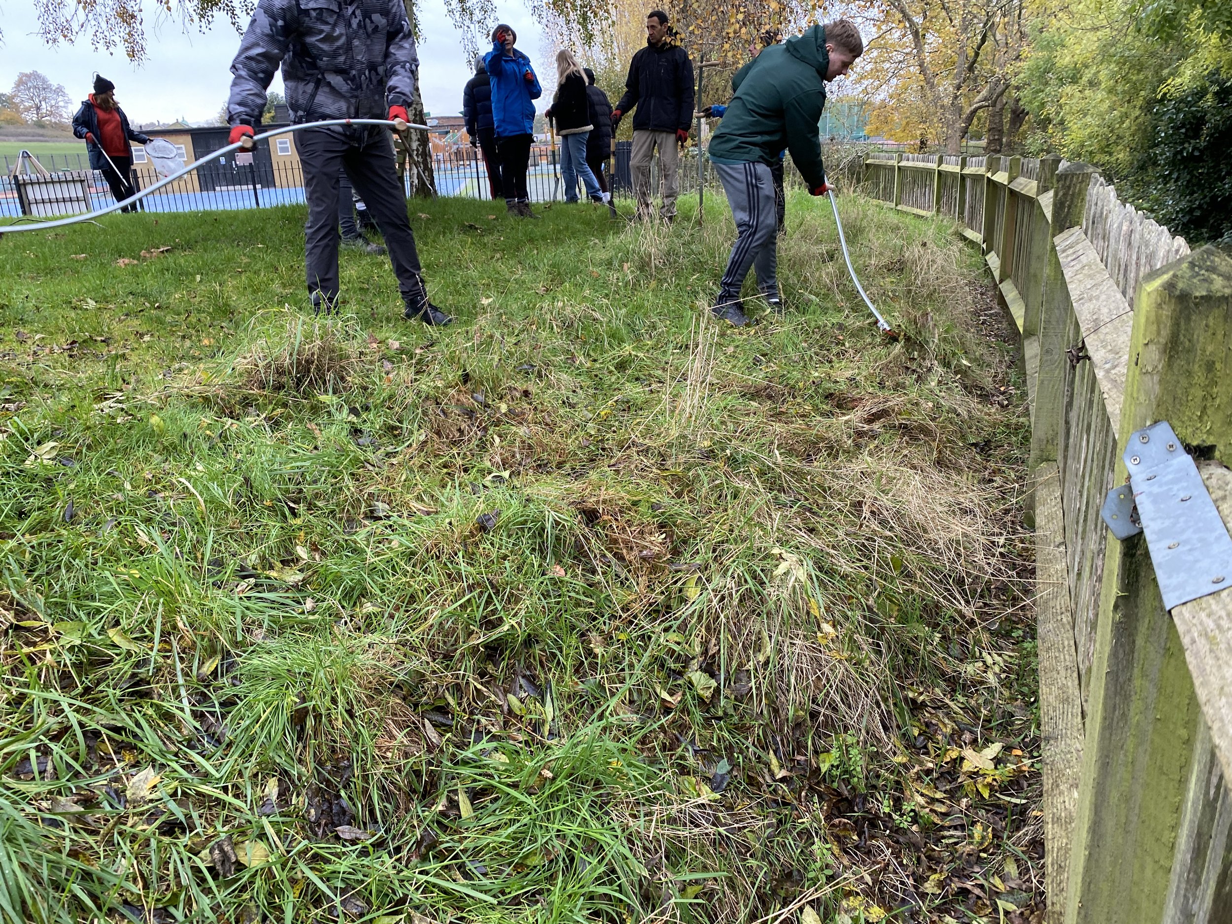 Clearing the area ready to plant