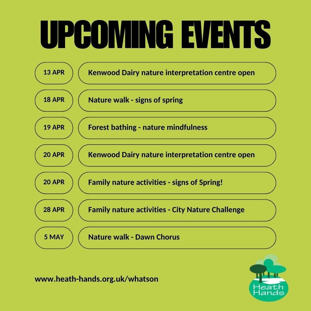 Check out what we've got coming up on Hampstead Heath over the next few weeks. 
Check the link in bio for more info. 
#hampsteadheath #heathhands #events #whatson #spring #springevents #springactivities #natureactivities #nw5 #nw3 #camden #london