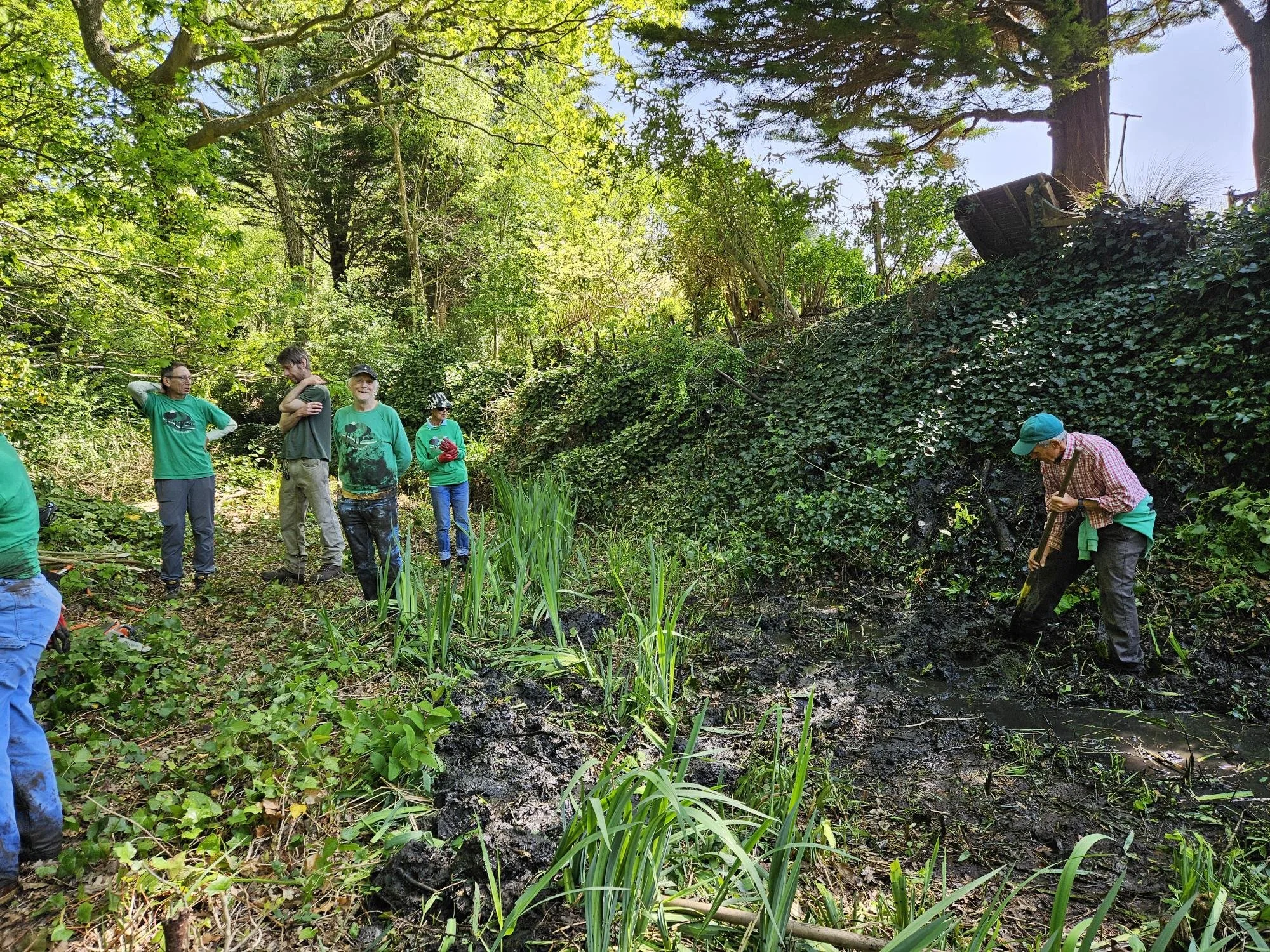 Nature Walk - conservation and connectivity on the Heath