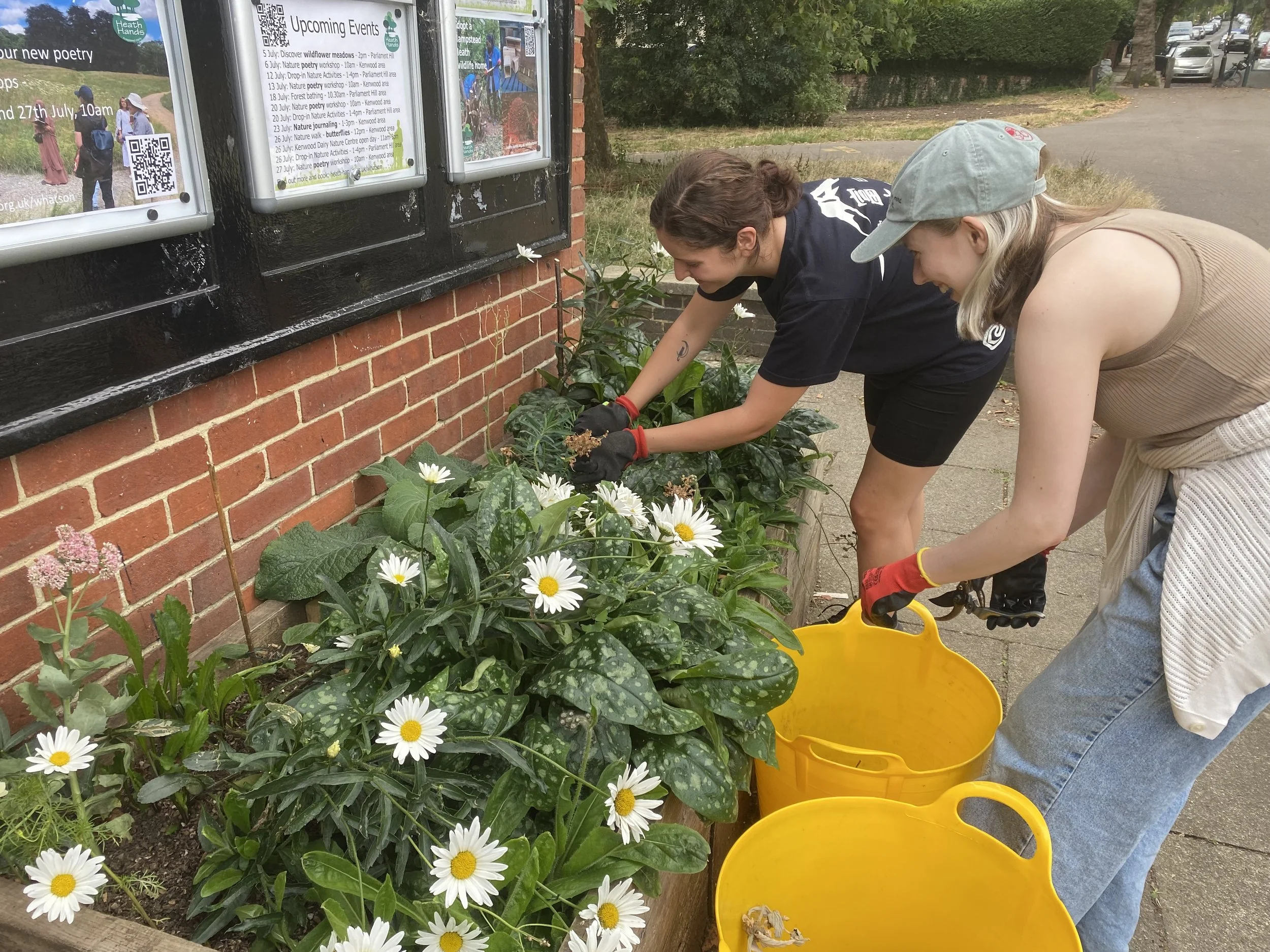 Gardening volunteering