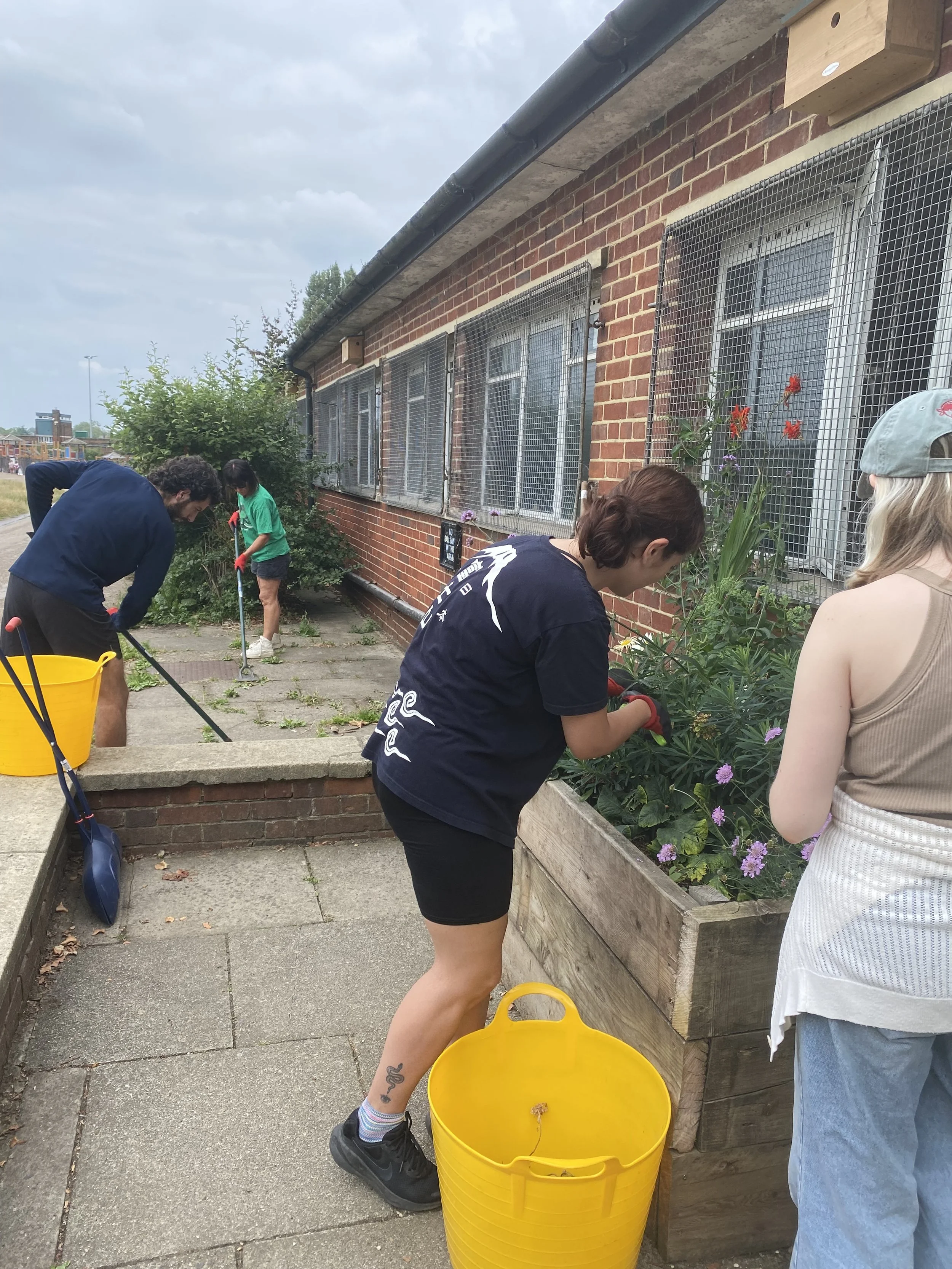 Gardening volunteering