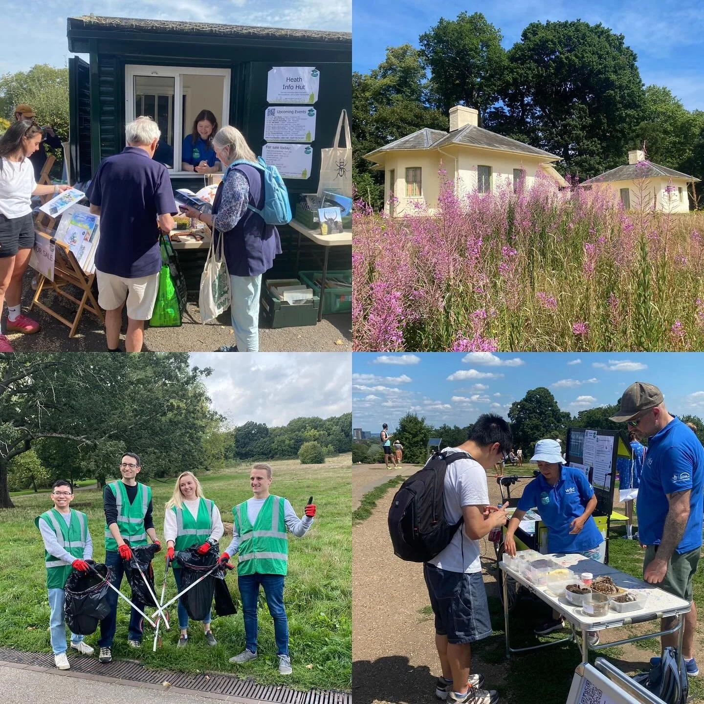 Loads going on this coming weekend on our green spaces:
Saturday: come and say hi at our Heath info hut from 10-2 and get involved in a spot of litter picking from 12pm for #worldcleanupday and still a few spaces for nature journaling with @agasheshi