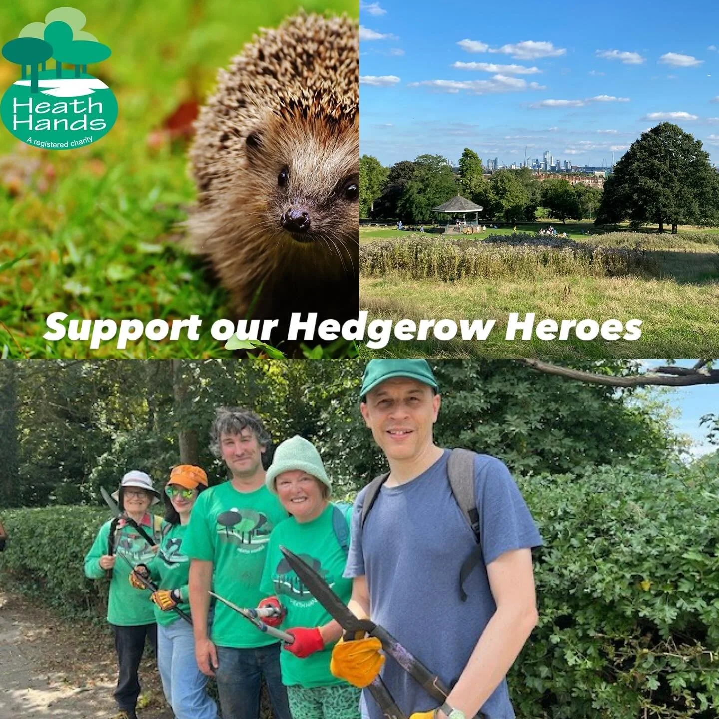 We&rsquo;re delighted to be fundraising for our new Hampstead Heath Hedgerow Heroes campaign - all donations are doubled with the support of @avivauk Community Fund - link in bio
.
.
#hampsteadheath #heathhands #avivacommunityfund #aviva #conservatio