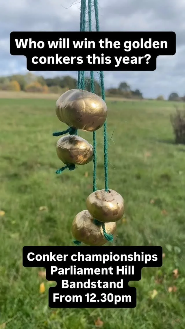 Join us for the conker championships- from 12.30pm at the Parliament Hill Bandstand!!
#hampstead #hampsteadheath #heathhands @colhampsteadheath #conkers #event