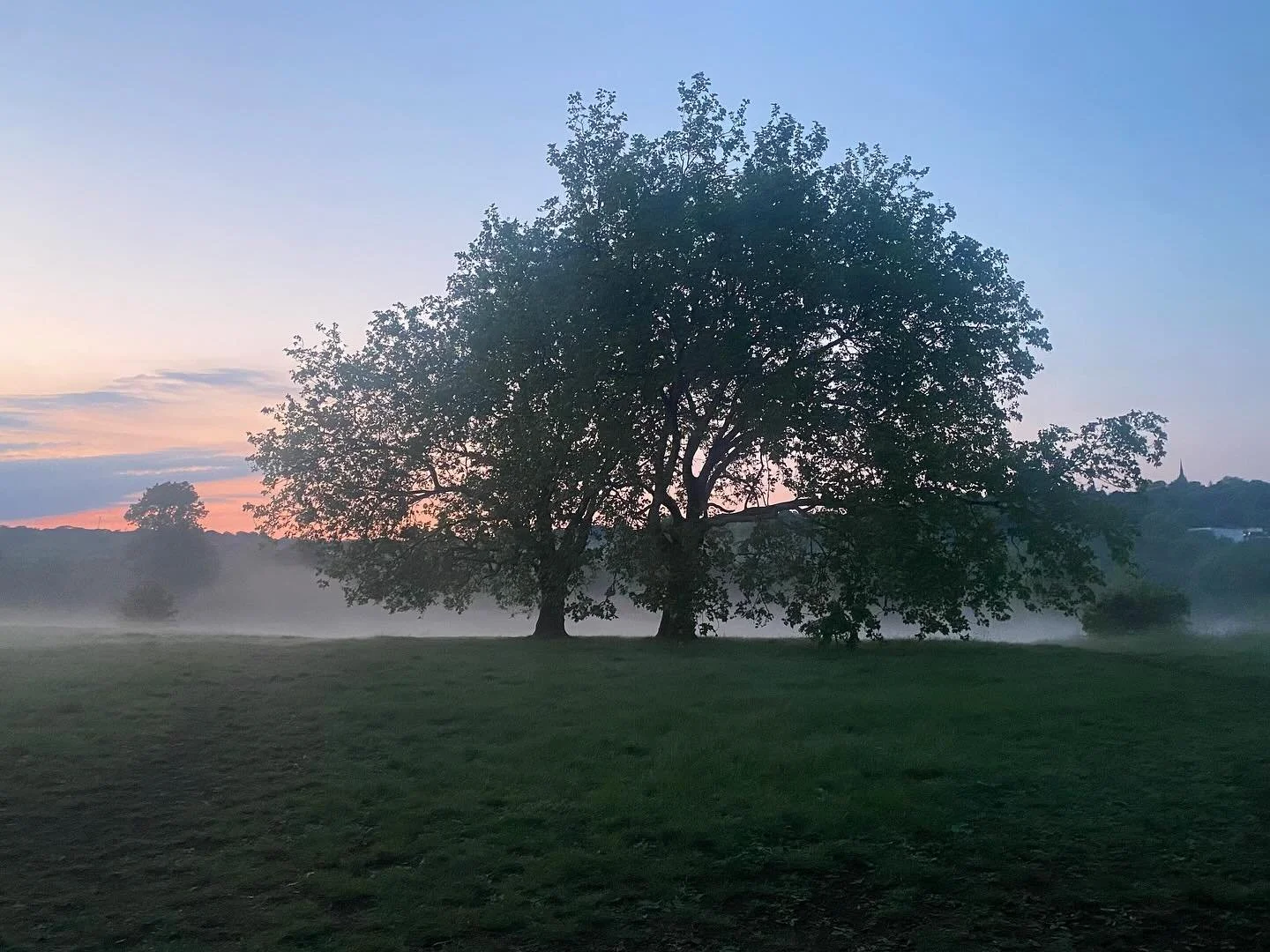 This weekend on Hampstead Heath - come and find out more about trees!
- last few spaces on our tree walk - Sat 2pm
- free drop-in tree and leaf activities Sun 2-4pm by the bandstand
- pop in to our info hut on Saturday 10am-2pm and pick up a tree spo
