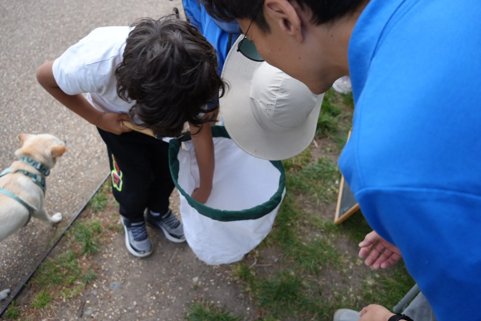 Wild about Hampstead Heath