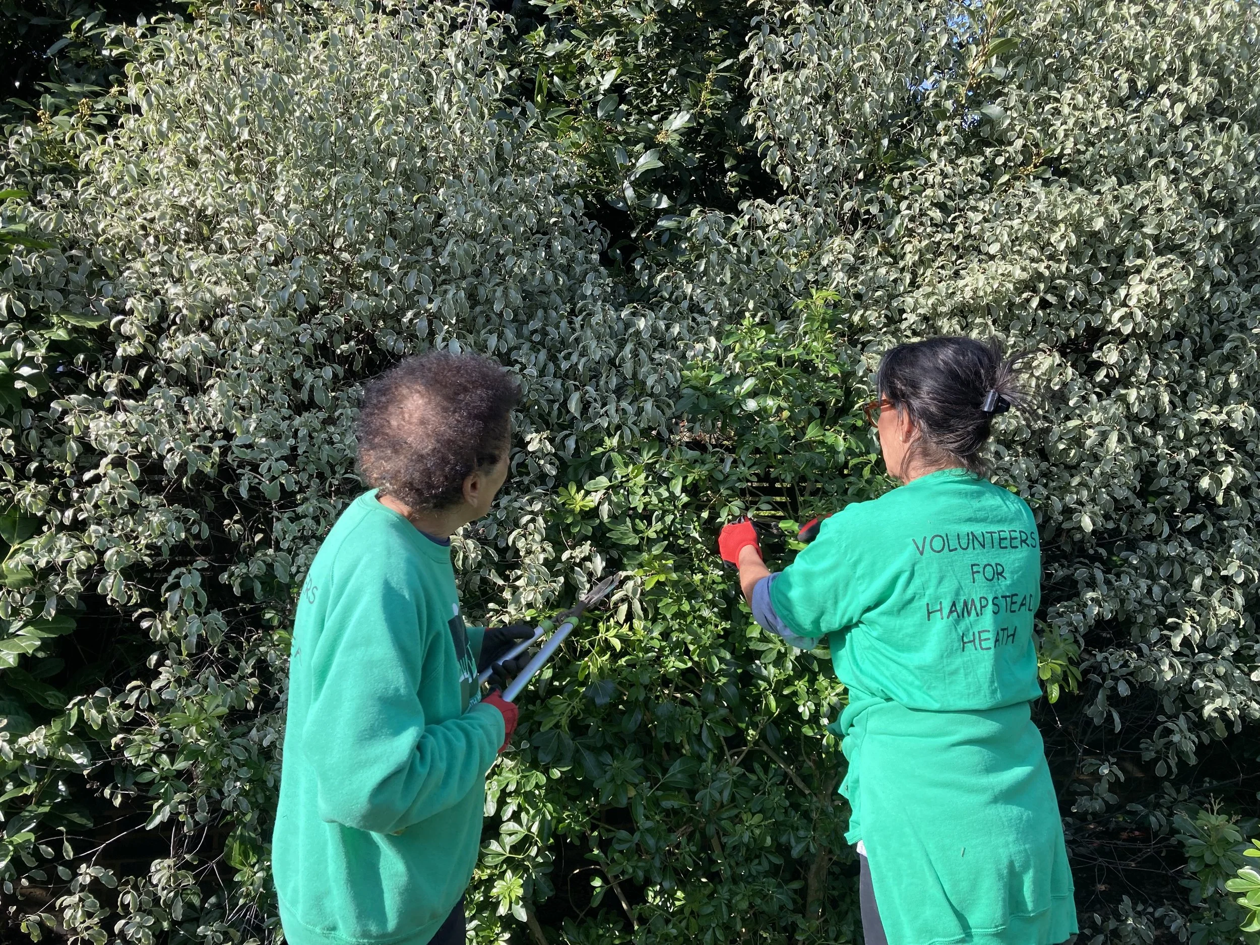 Gardening volunteering