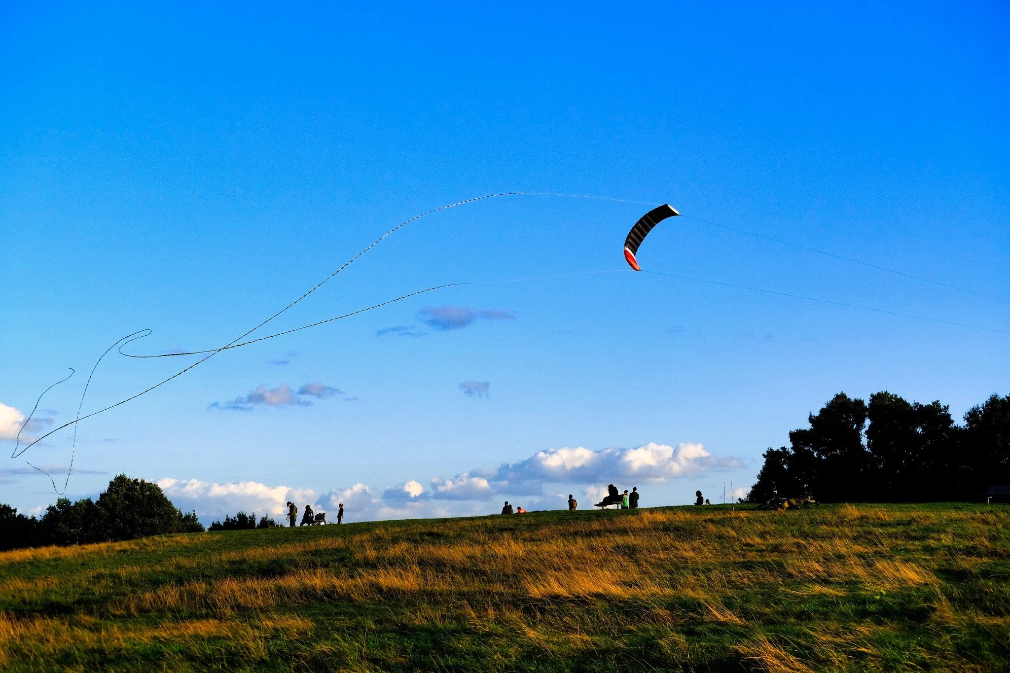 PHOTO EXHIBITION!
Need an excuse to come to the Heath in the colder weather? Come and check out our Hampstead Heath photo exhibition, including our winning entry by Joseph Barnes (@joe_climate).
-	At the Hive, Hampstead Heath, Wednesday and Thursday 
