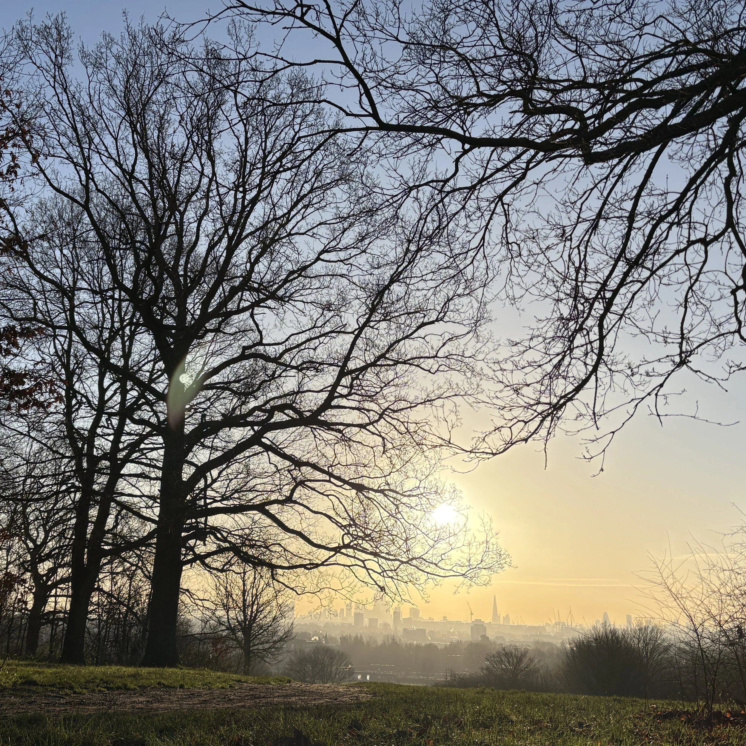 Festive Greetings from the Heath