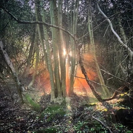 Happy winter solstice from everyone at Heath Hands! As daylight is scarce at this time of year, it&rsquo;s particularly important to get out and about in nature if you can - do check out our friendly health walks running throughout the festive season