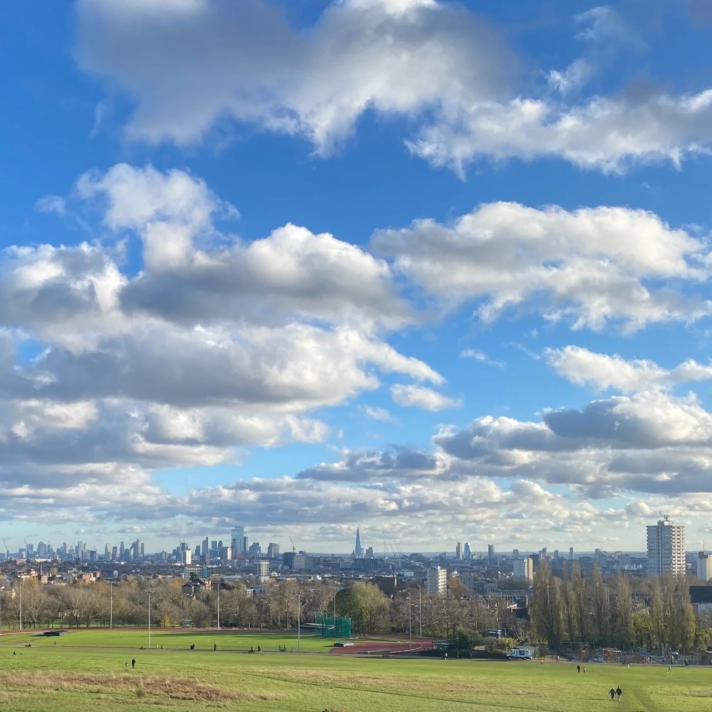 Happy New Year from Heath Hands! 

Come and blow the cobwebs away with us this month by joining one of our Health Walks (restarting from 5th January), and other activities out on the Heath (including nature mindfulness, nature journaling, birdwatchin