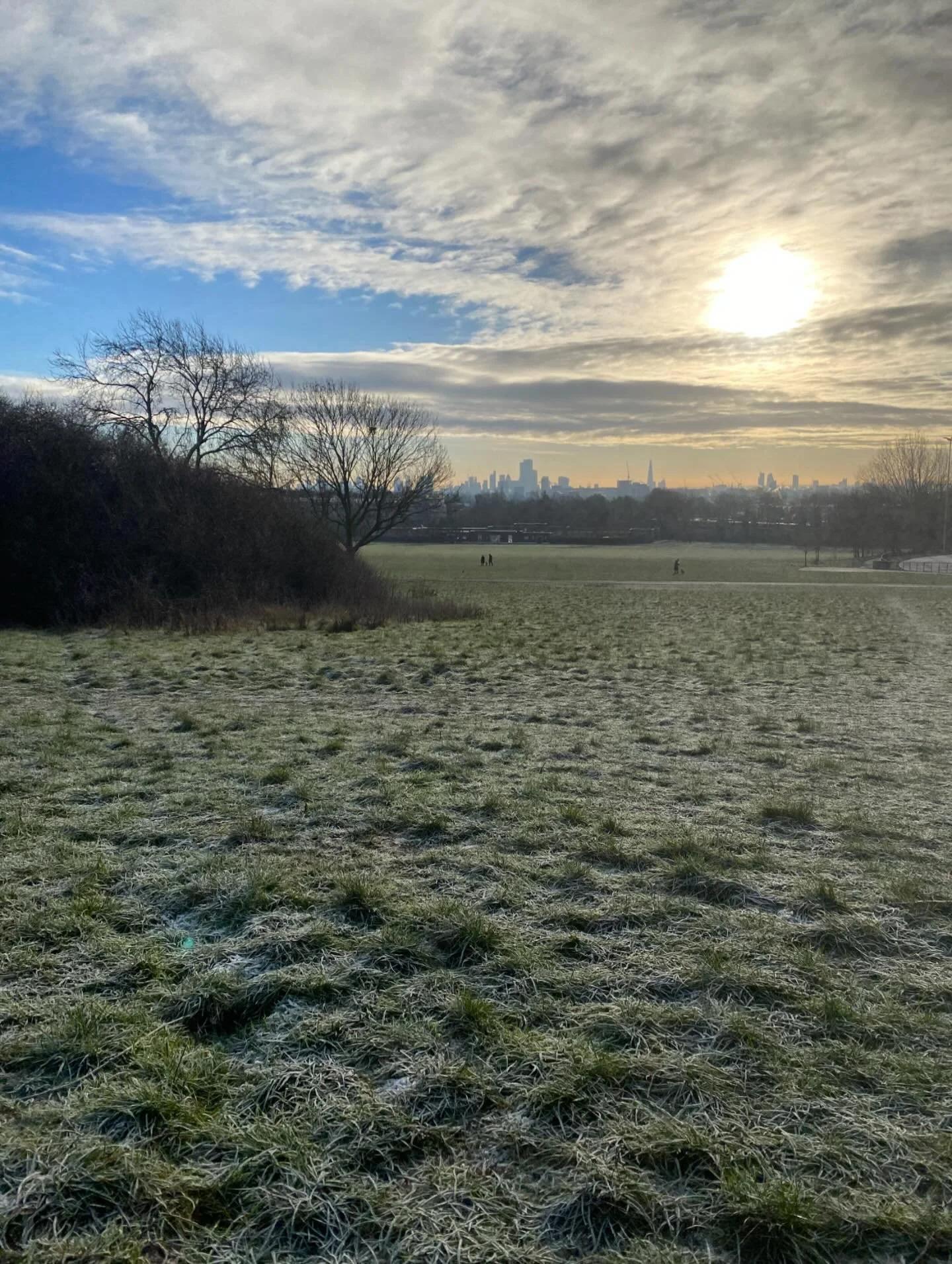 Out and about on the Heath today? Come and say hi at the Heath Info Hut from 10am-2pm to find out more about wildlife and nature on the Heath, pick up a spotter sheet or buy a (now on SALE!) Hampstead Heath calendar! 
And then our wildlife interprete