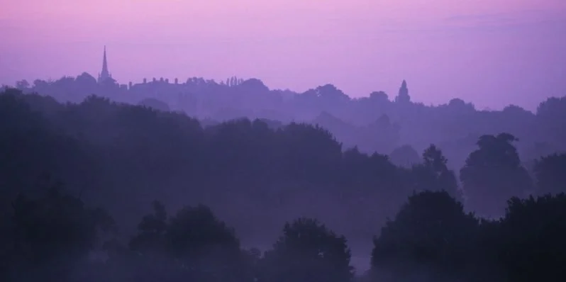 Heath &amp; Hampstead Society - The Hidden Heath