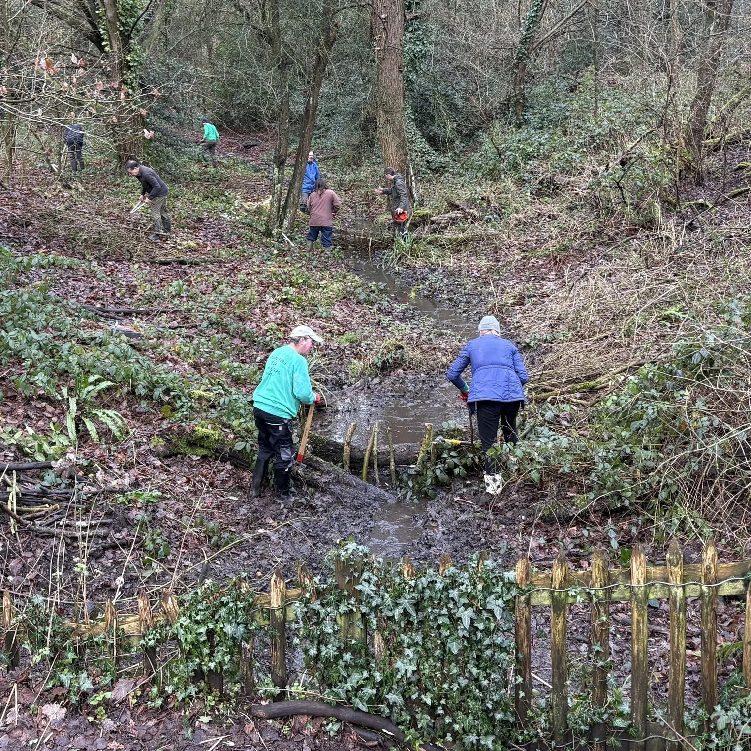 It's World Wetlands Day! Today we're highlighting the great work our volunteers have been doing recently, building leaky dams in wetland areas around the Heath.  Leaky dams are a form of natural flood barrier, slowing the movement of water in woodlan