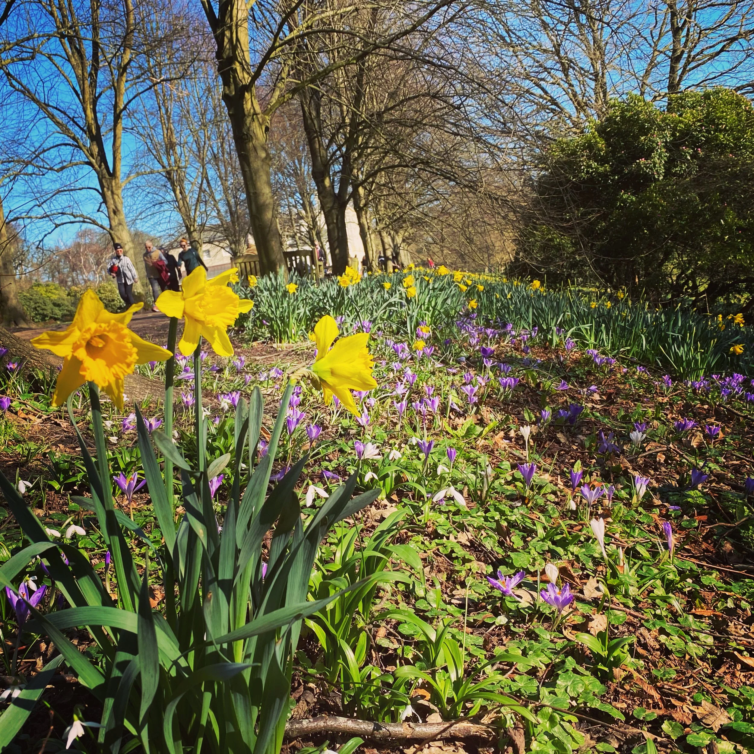 Nature Ramble - Spring on the Heath