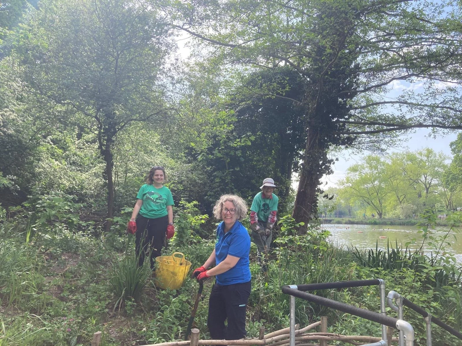 mixed pond may 2025.jpg