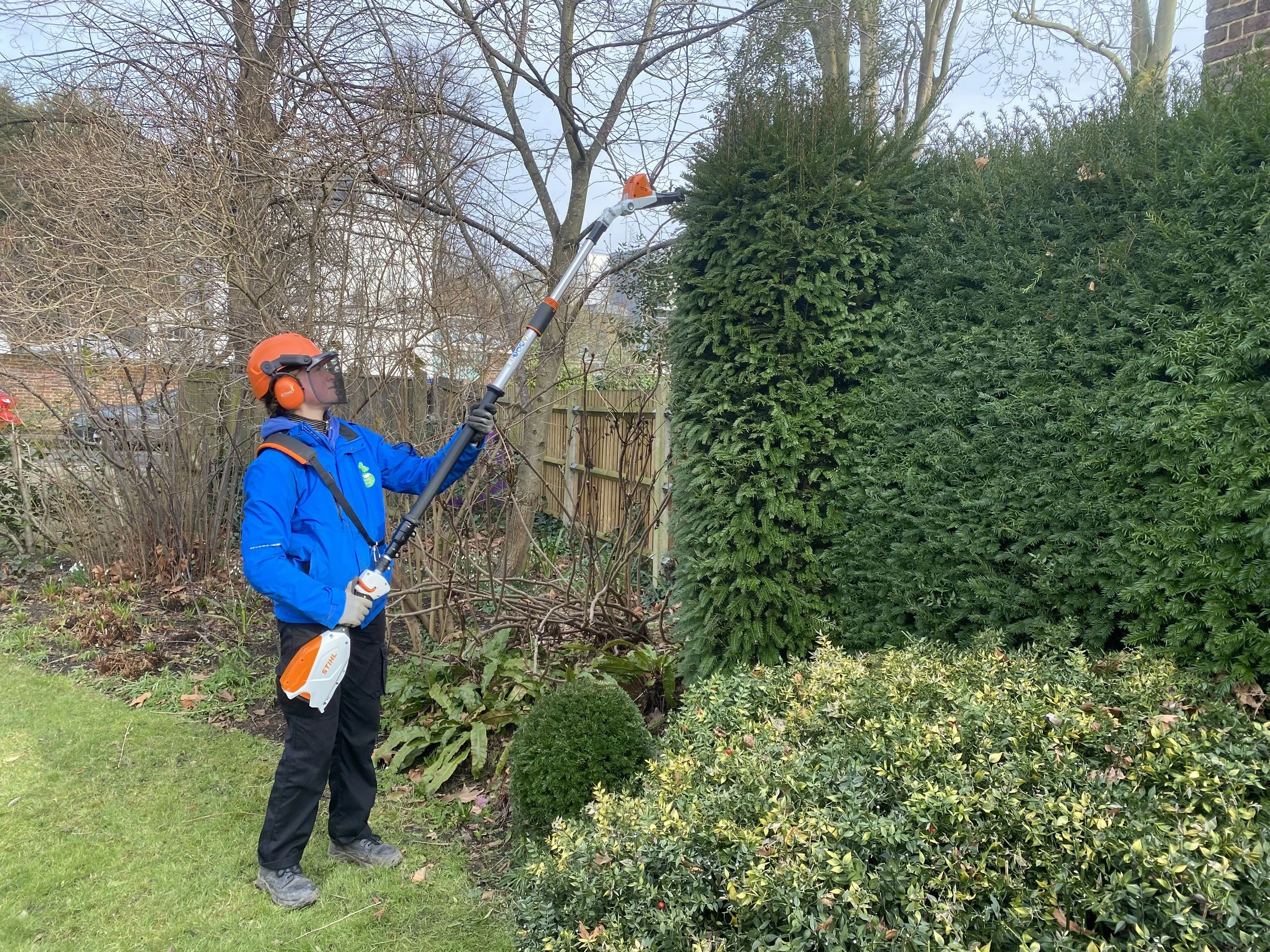 hedge trimming.jpg