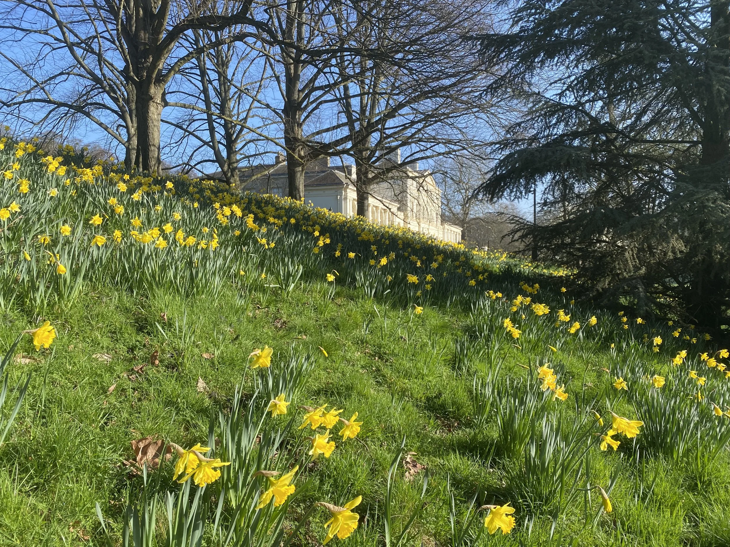 Guided walk - The Kenwood Estate