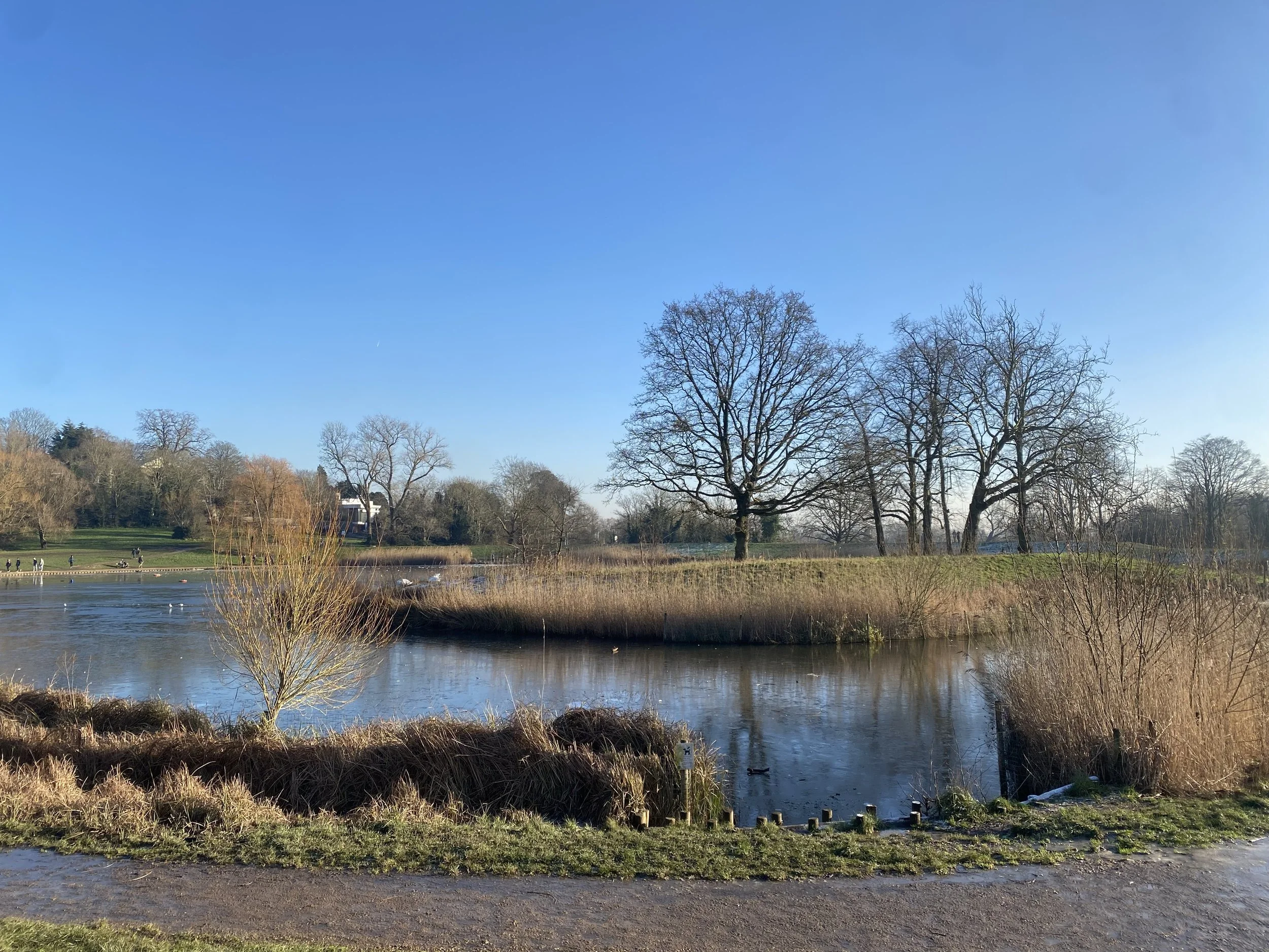 Heath &amp; Hampstead Society - The Geology of Hampstead Heath