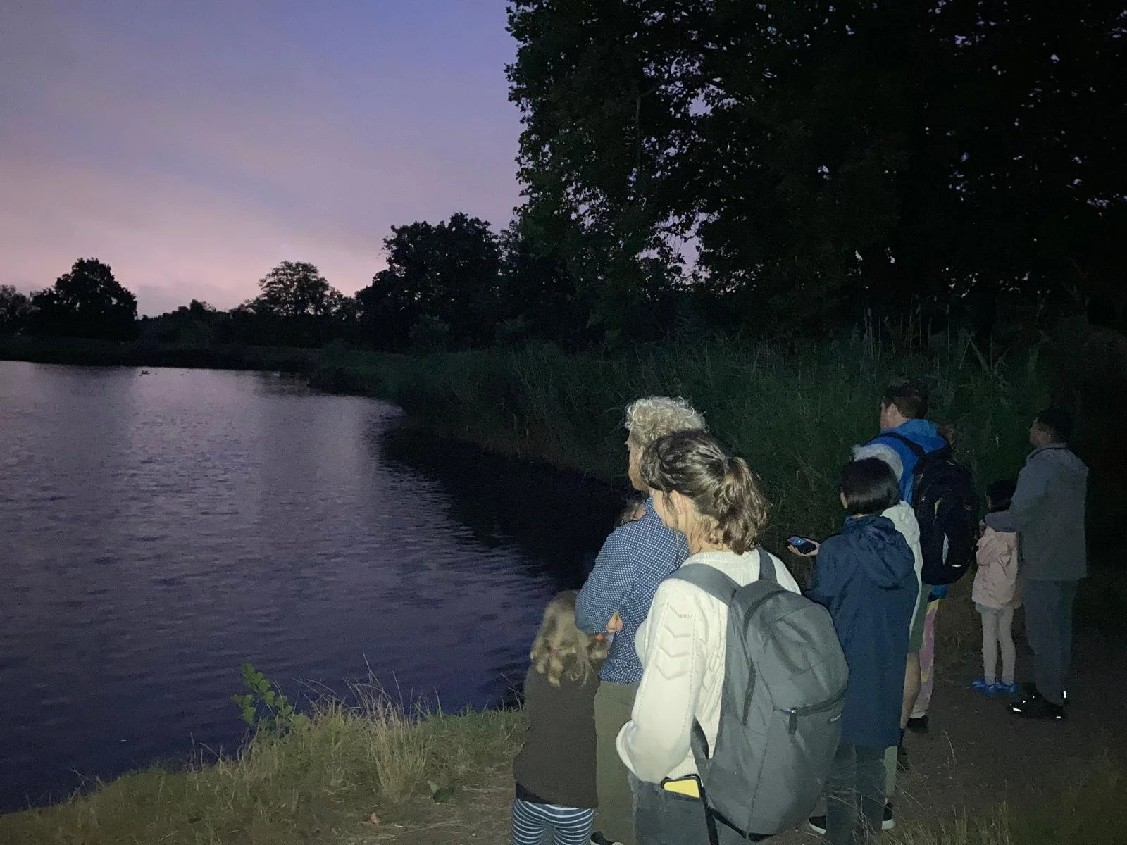 Highgate Wood - Bat Watch Walk