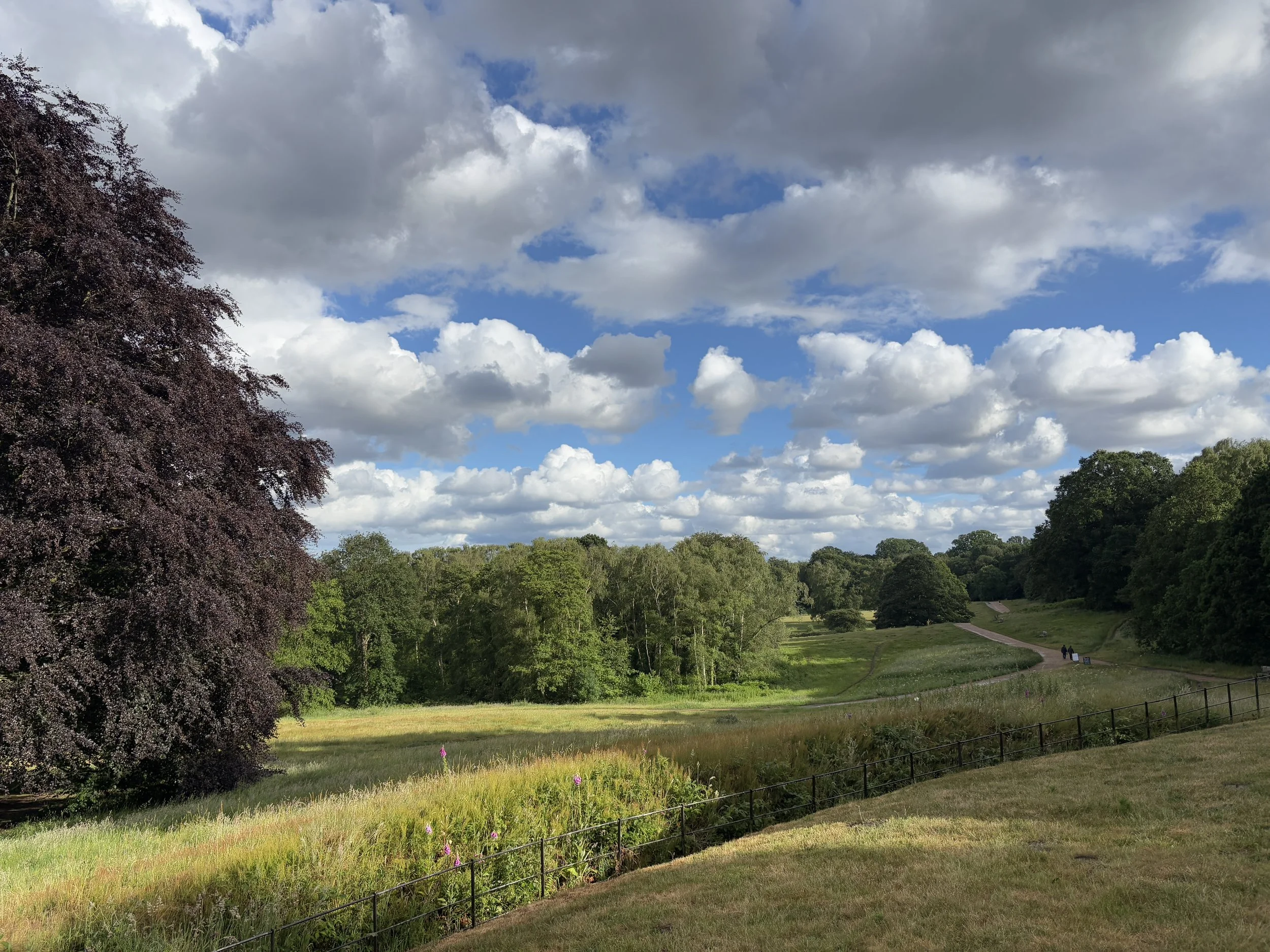 June at Heath Hands