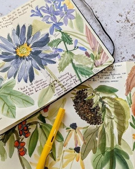 We've checked the forecast for this weekend and it's looking nice and sunny, so why not join us for one of our activities?☀️ There's lots to choose from, including a Nature Journaling workshop, community litter pick, and interactive learning with our