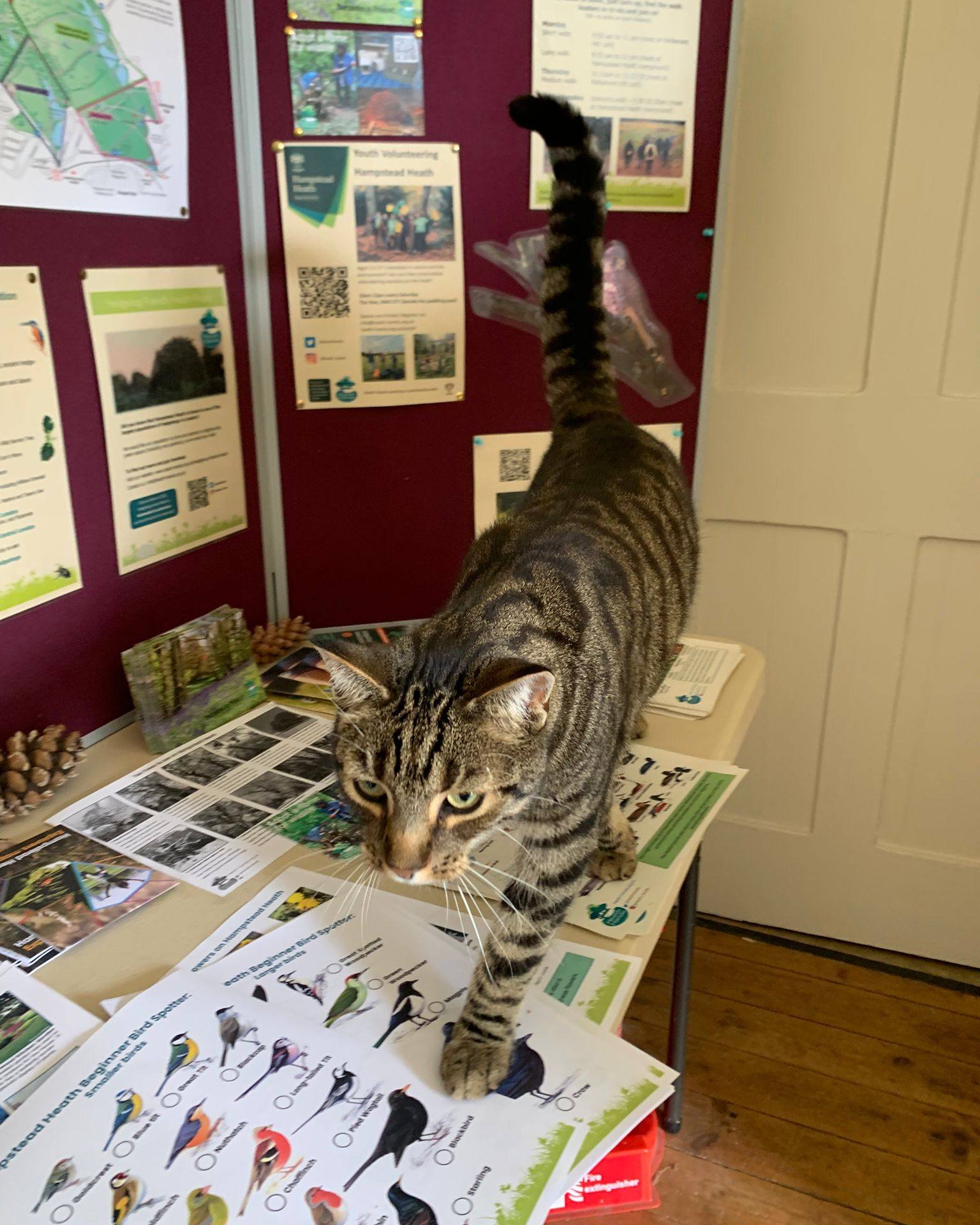 Our Dairy Nature Interpretation Centre will be open this weekend, and some of our local residents are very excited... Pop by on Sunday between 11am-3pm to take part in free nature activities, and maybe pick up one of our spotter sheets to take away!