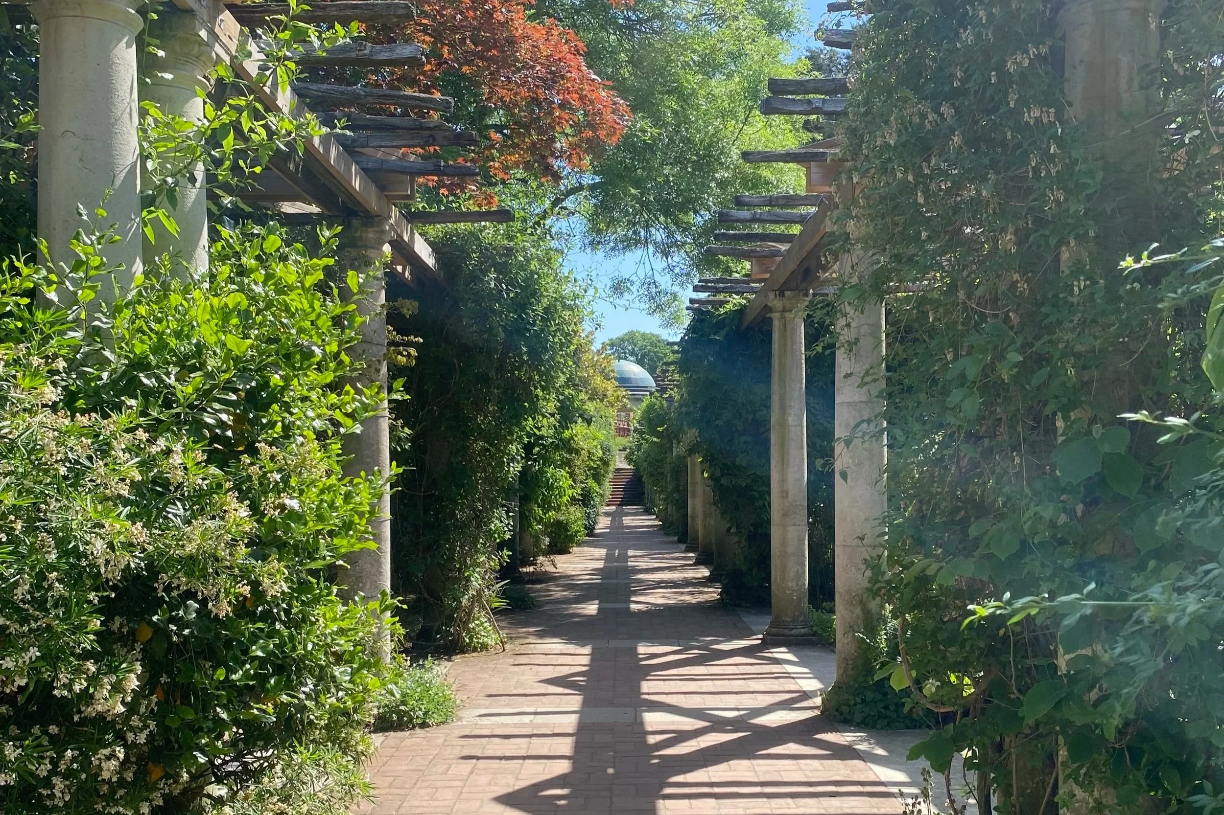 Pergola+in+sun.jpg
