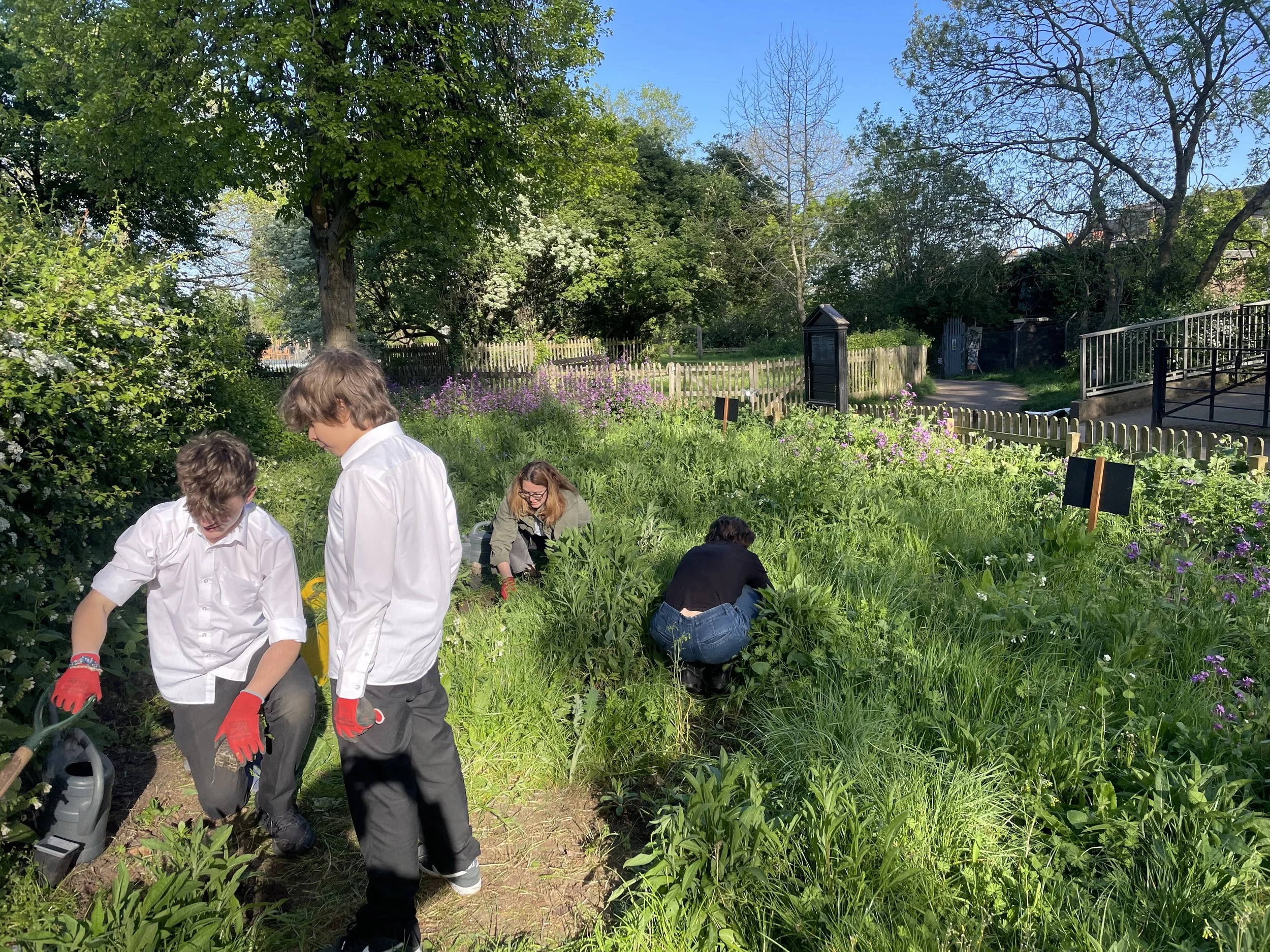 Drop-In Gardening 