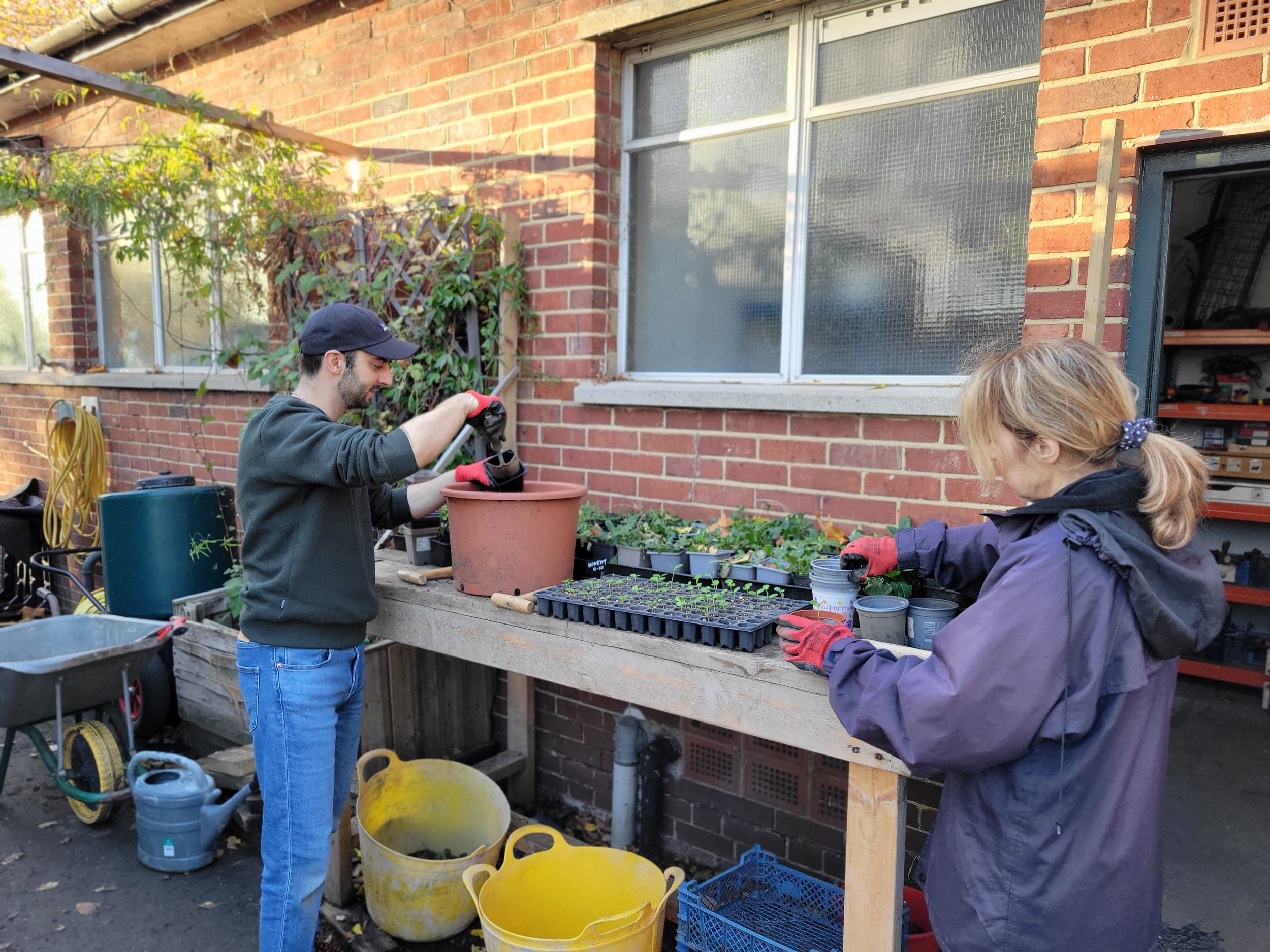 Drop-In Gardening 