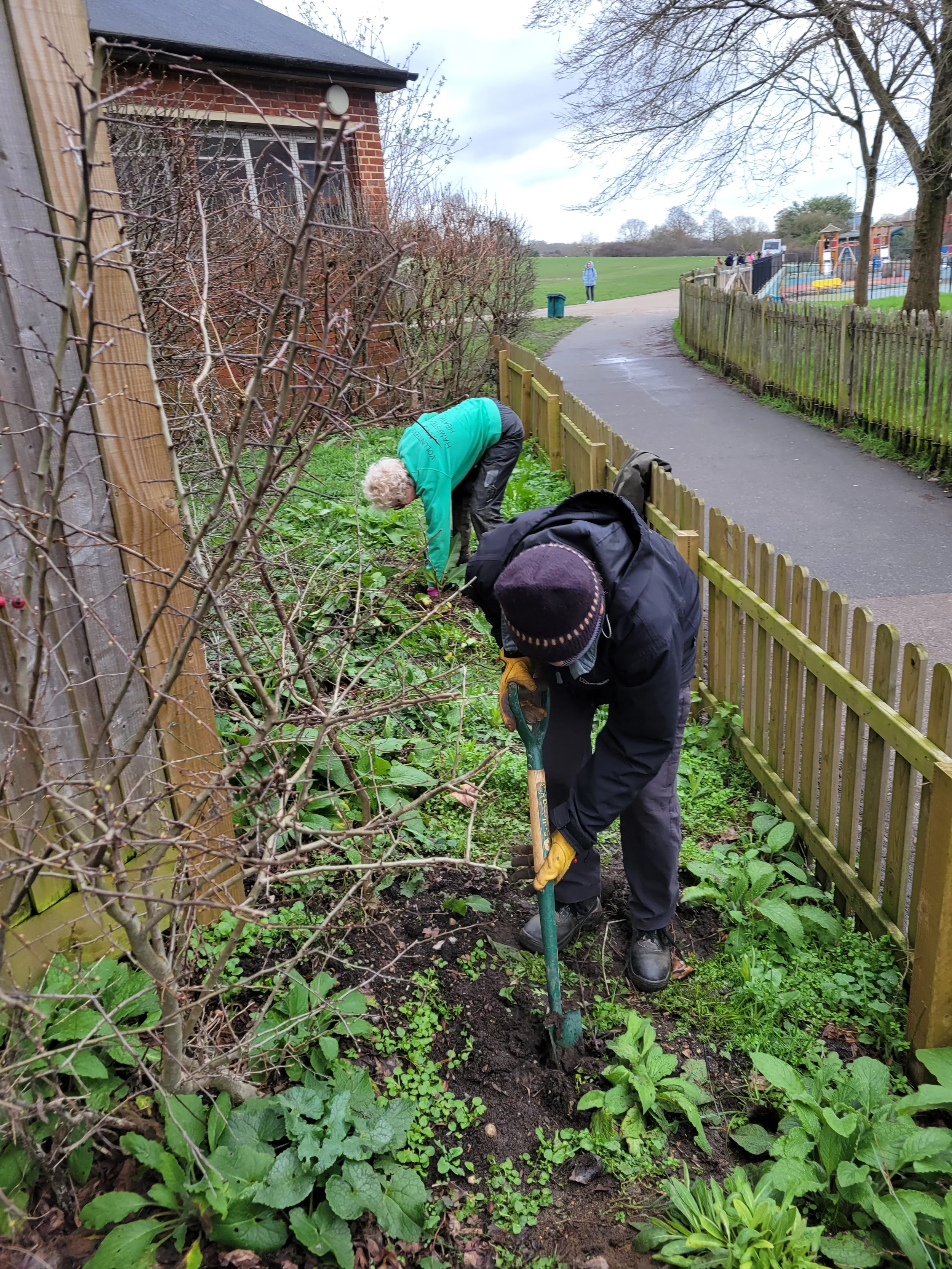 Drop-In Gardening