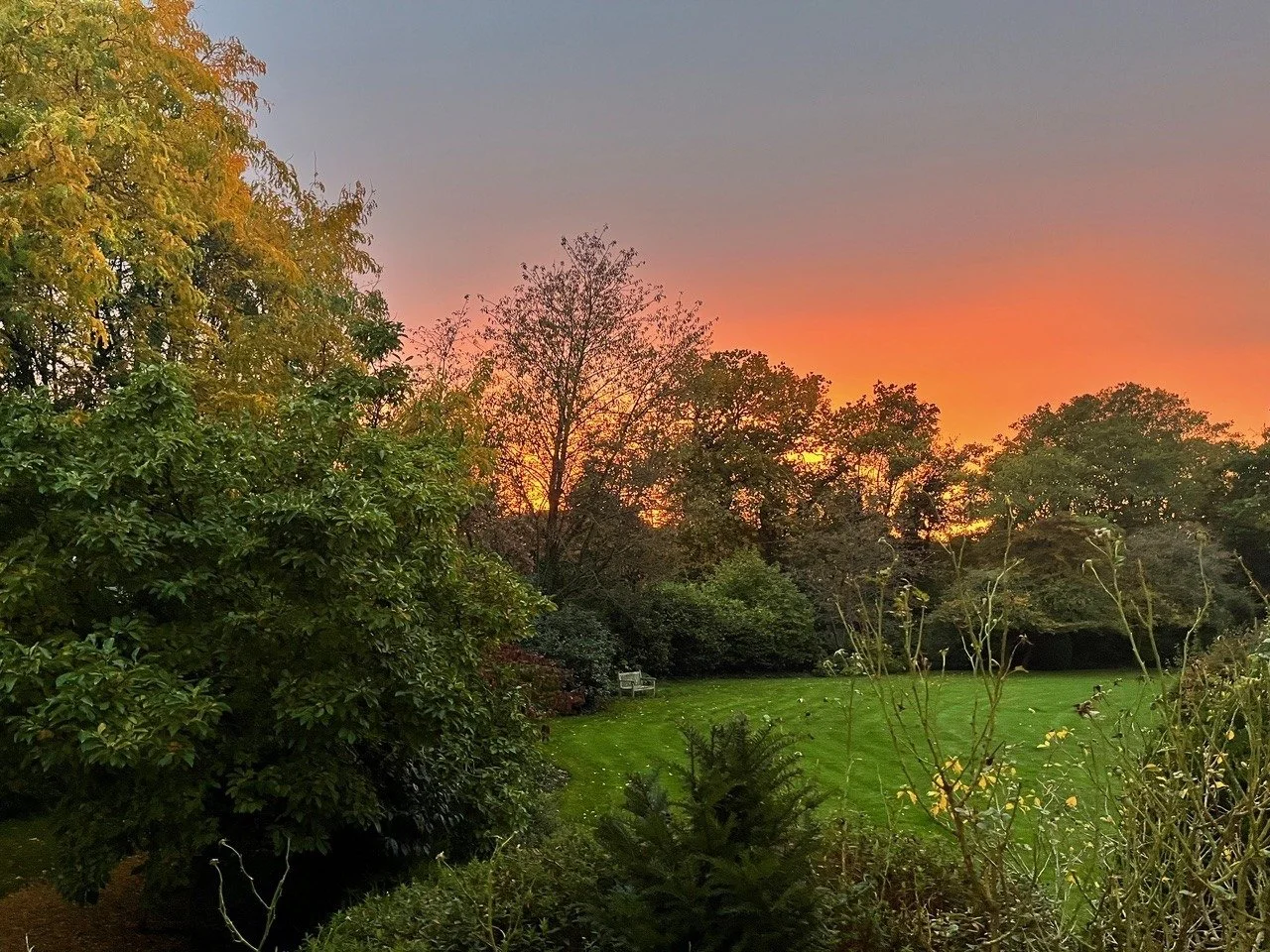 What a shot! This was one of last year's entries for the Under 18s category in our photo competition. There's still time to enter before the deadline of the 24th, so why not take the kids out onto the Heath and get snapping! Find full compeition deta