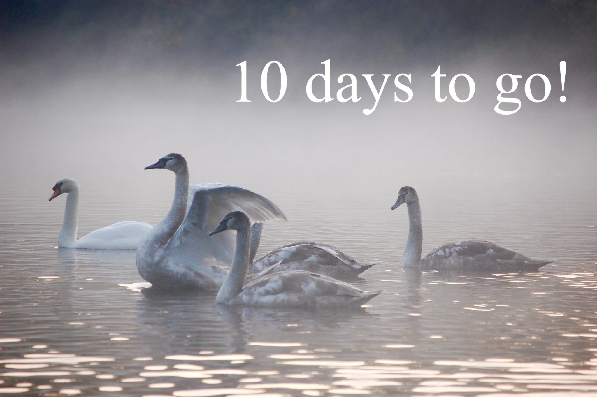 10 days left to enter our photo competition for a chance to be featured in the official 2027 Hampstead Heath Calendar! 

Find out more and enter on our website.