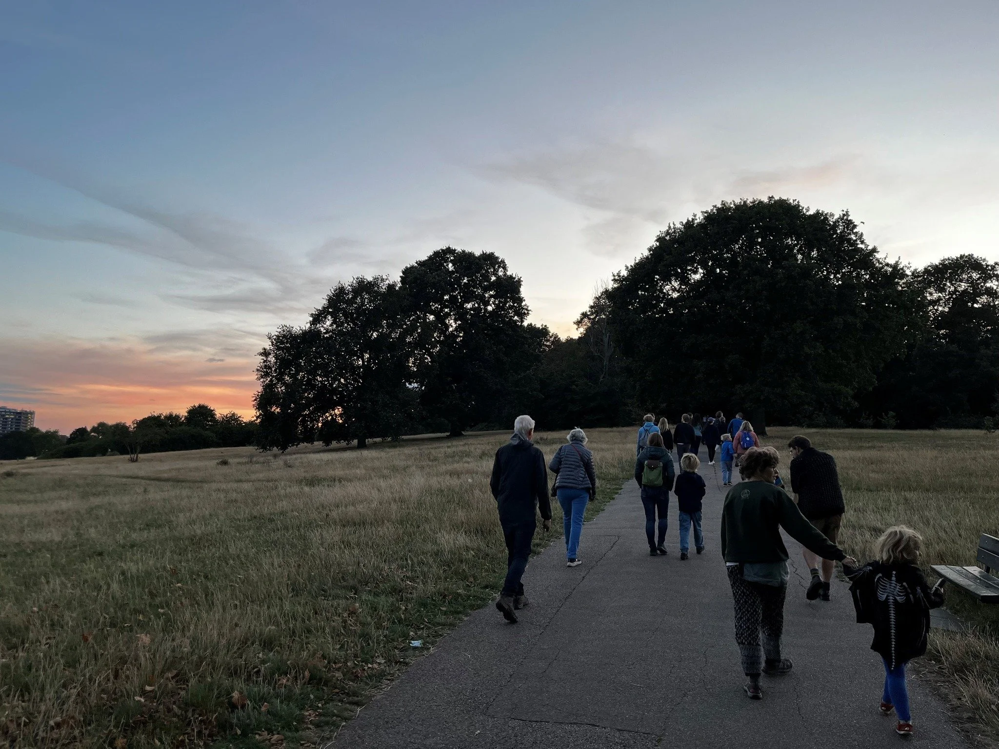 Did you know we lead bat walks every year? Armed with a trusty bat detector (yes - it's a real thing!) you'll join our team to watch these incredible creatures roam Hampstead Heath and the Kenwood Estate. 

Our upcoming dates are:
- 20th August 19:30