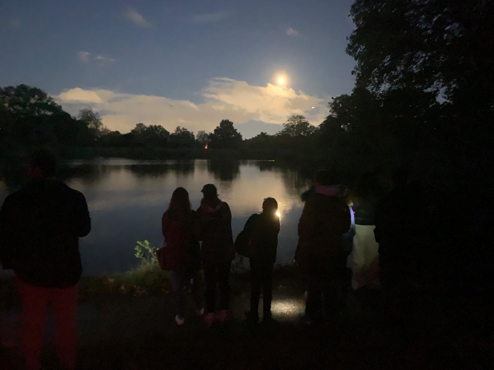Two days to go until our first guided bat walk of the season! Did you know we also offer bat home adoptions, a great way to help support these valuable creatures on the Heath. Find out more on our Wildlife Adoption page.

#wildlifeadoption #hampstead