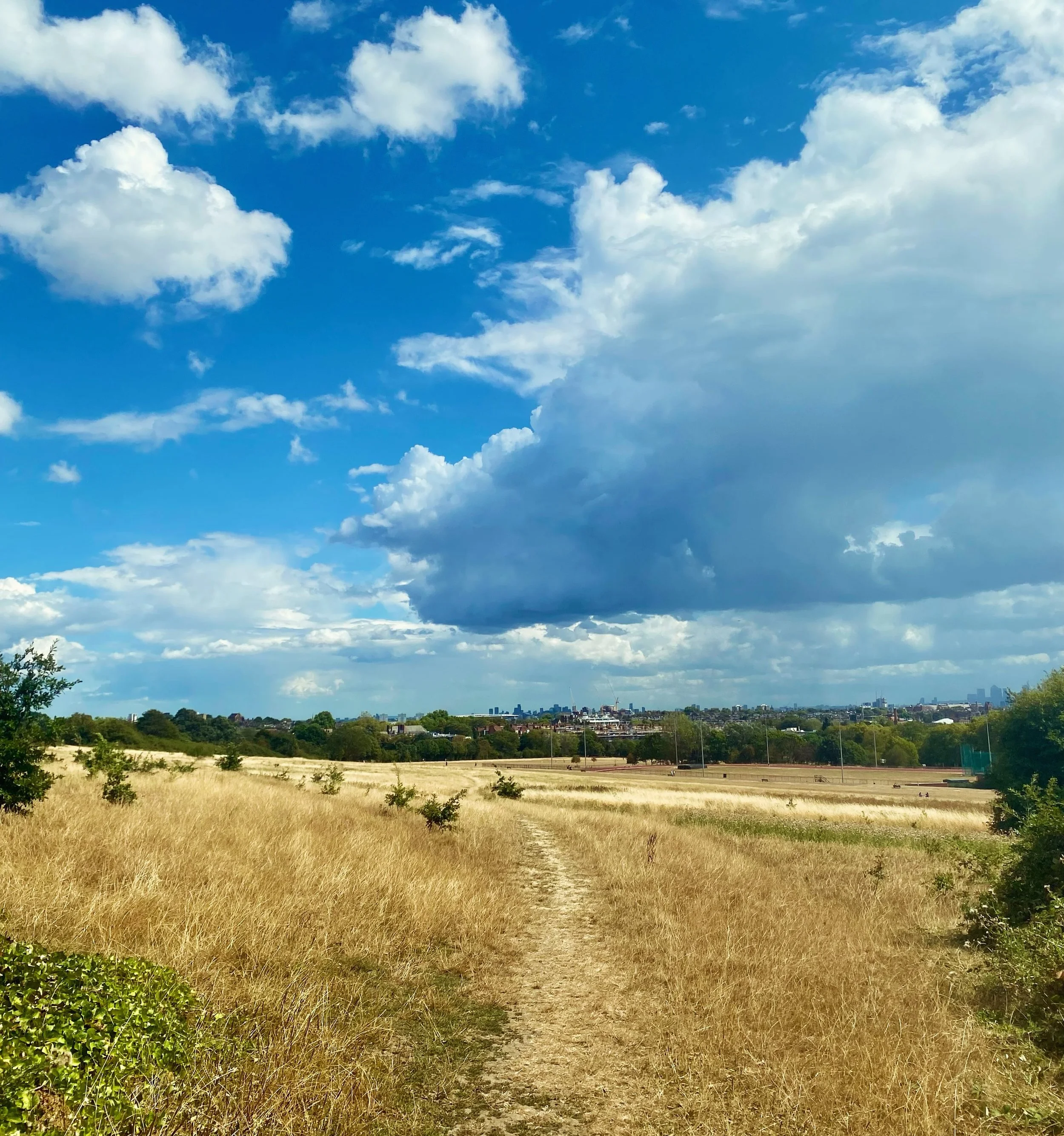 Looks like a bit of rain over in the distance&hellip; still very dry on the Heath today.

#summer #hampsteadheath #clouds #rainshower #parliamenthill