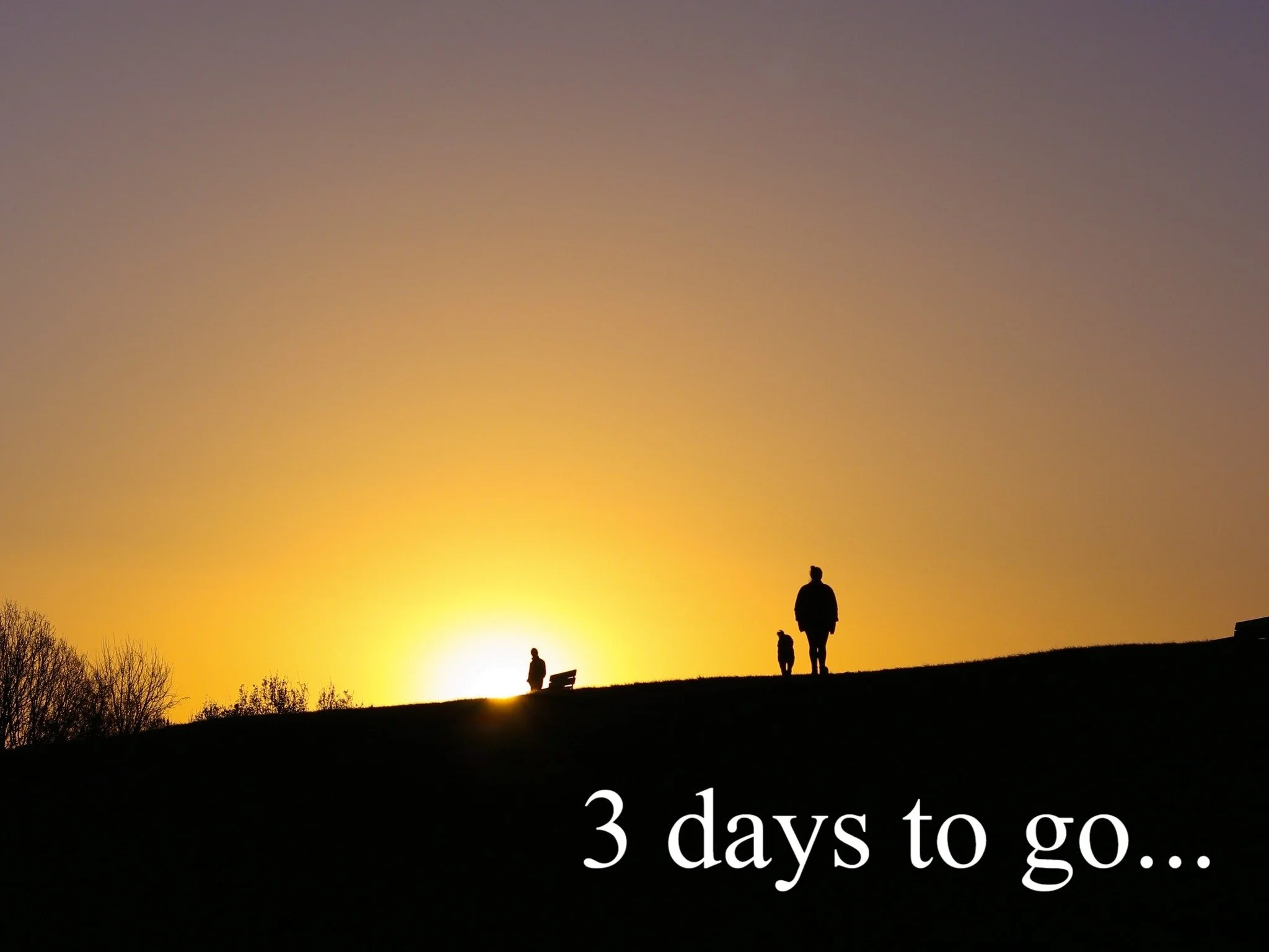 Only three days left to enter our annual photo competition and secure that cash prize!
Adults and Under 18s categories available.
Find out more and enter on our webiste.

#naturephotography #hampsteadheath #londonphotographycompetition